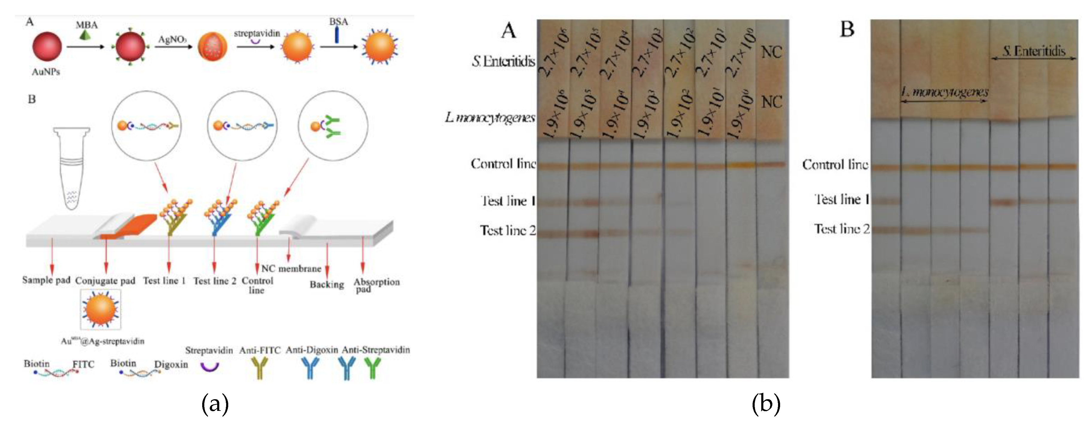 Preprints 77960 g013