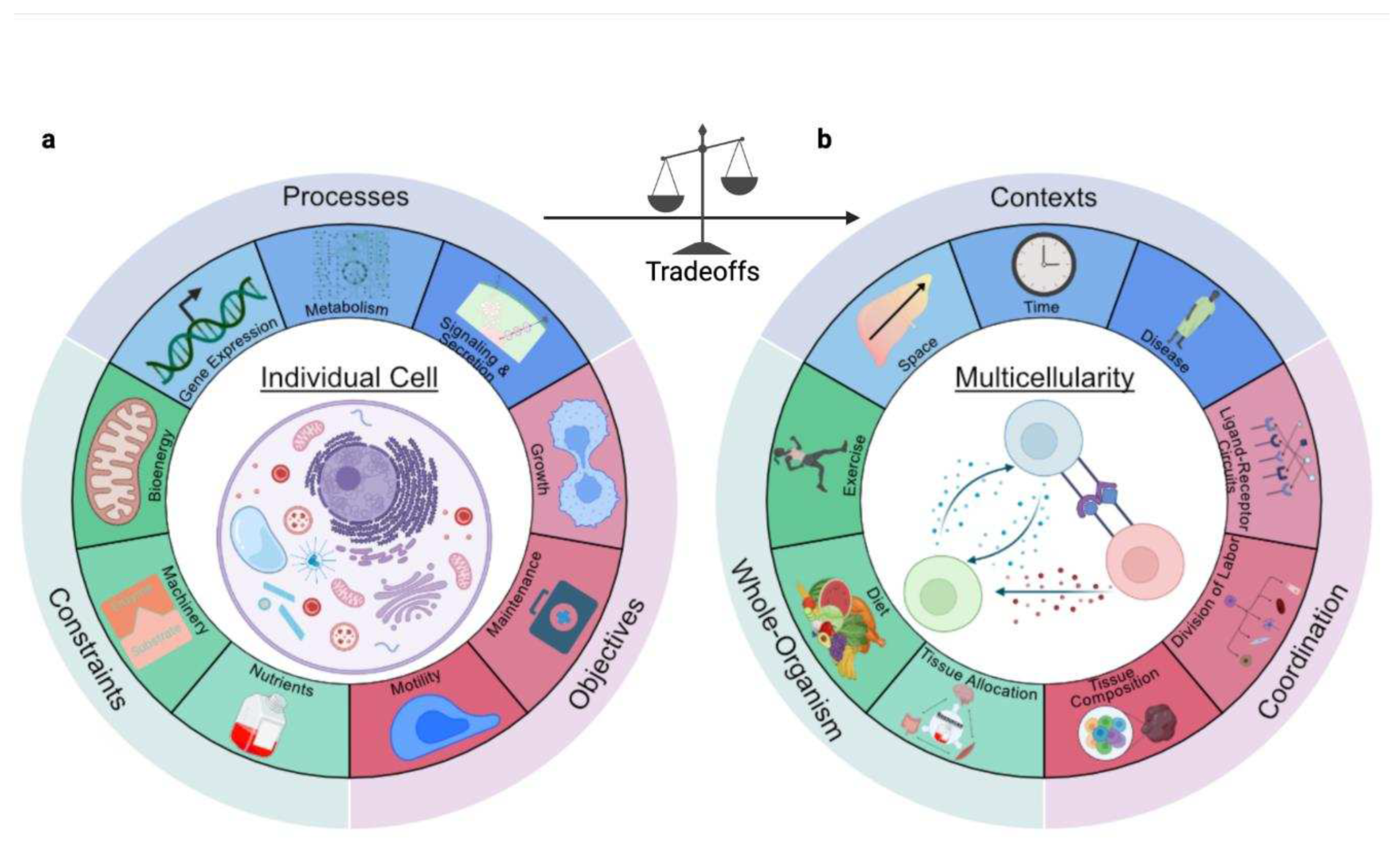 Preprints 94028 g002