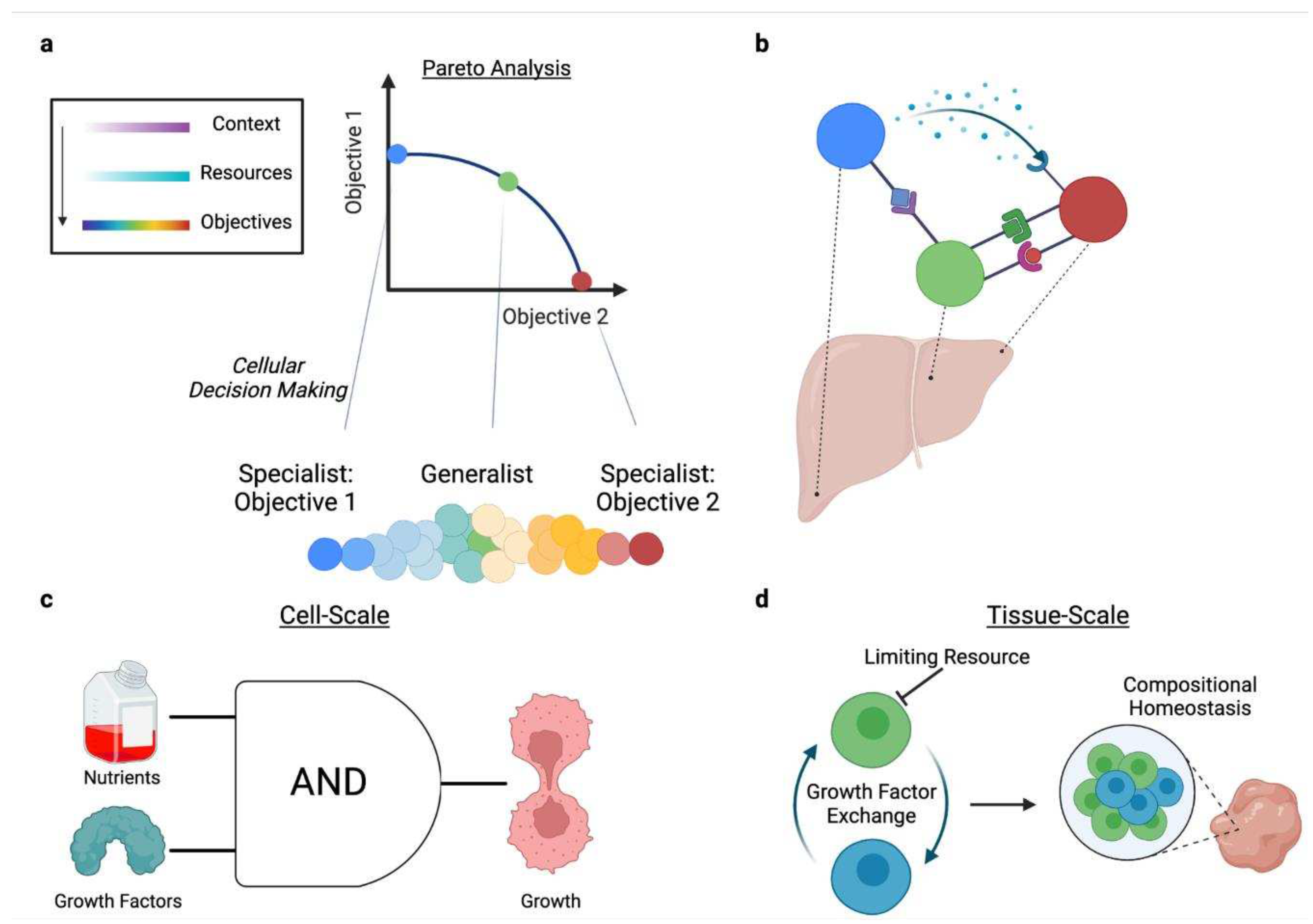 Preprints 94028 g003