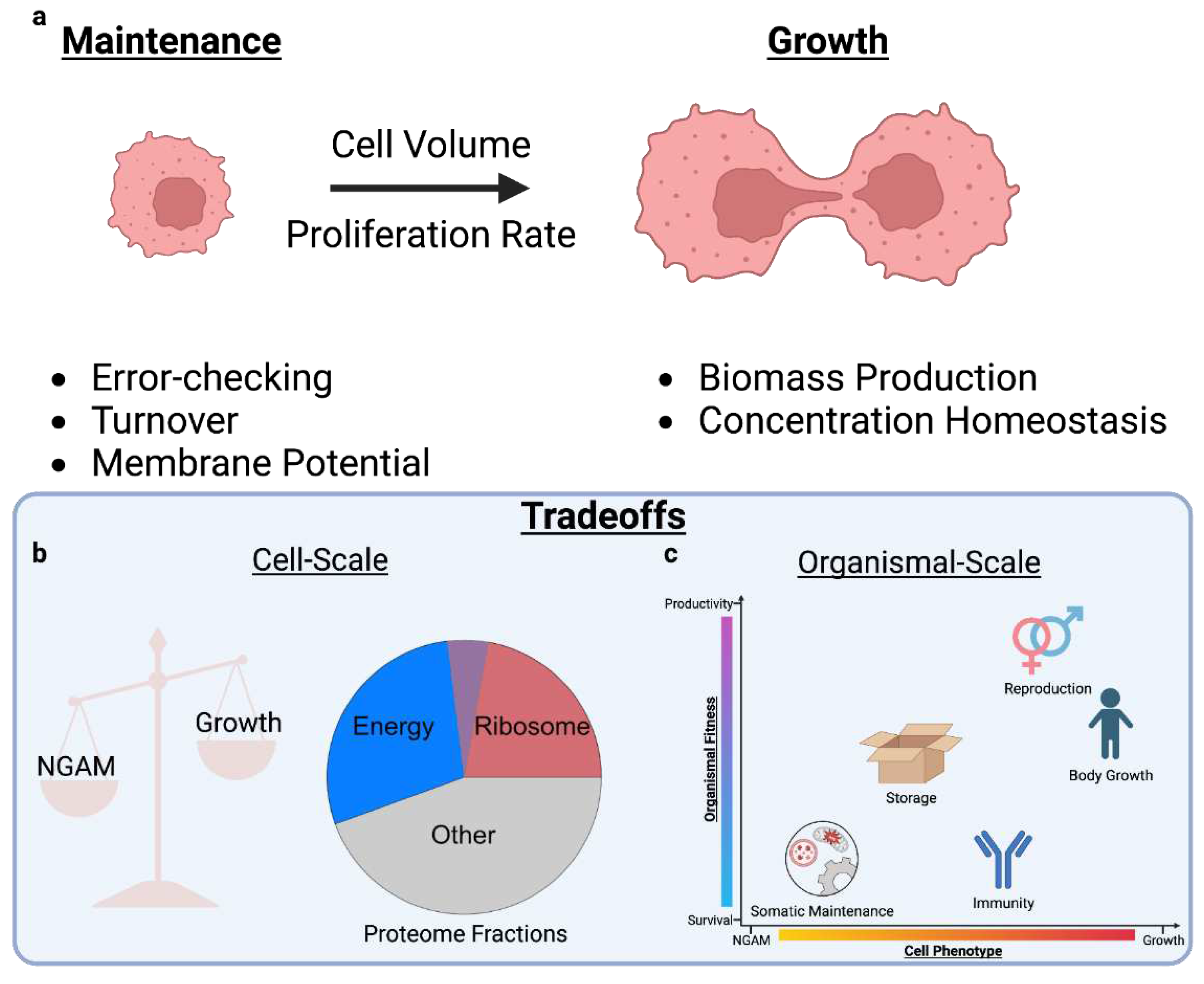 Preprints 94028 g0a1