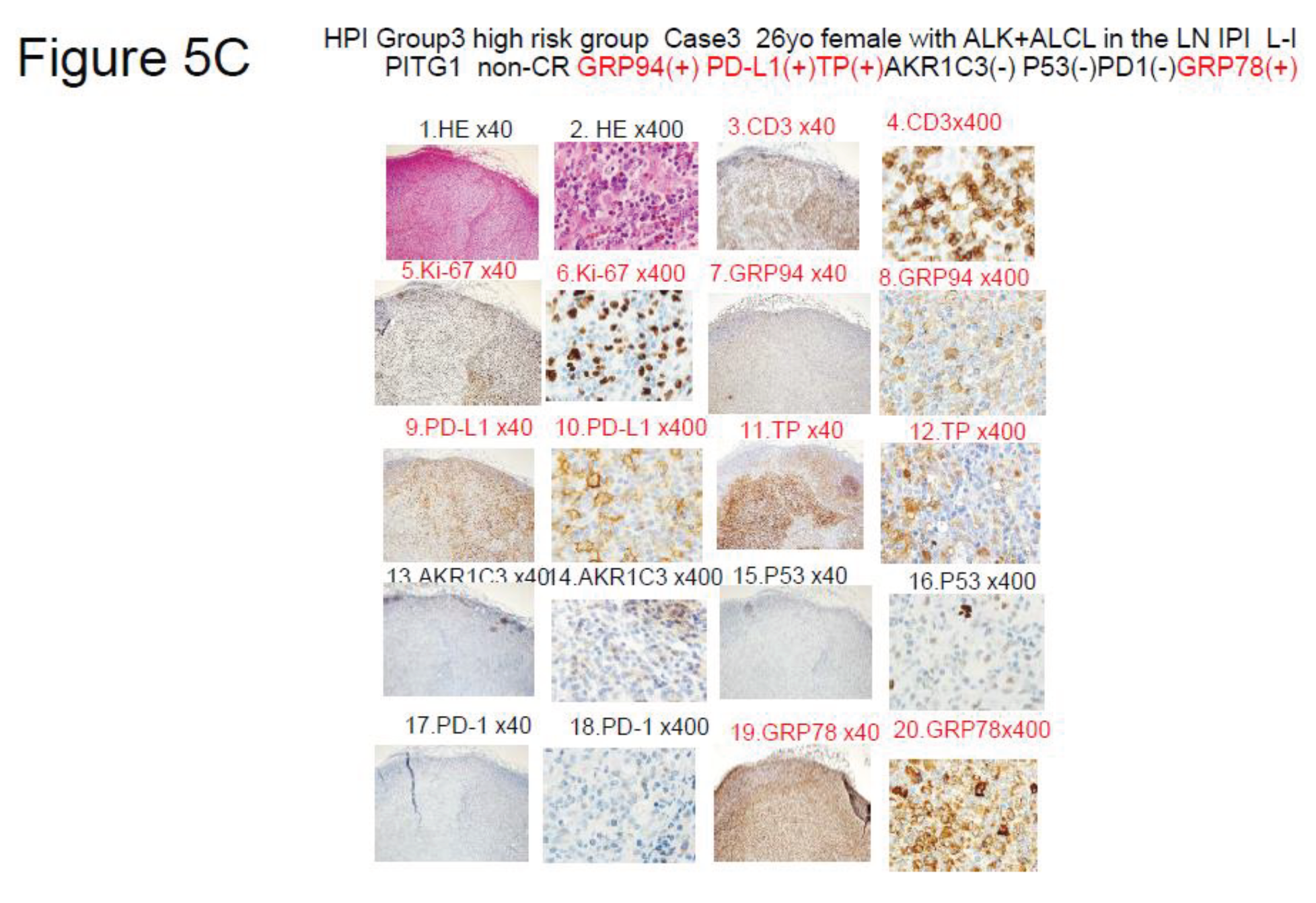 Preprints 103576 g005b