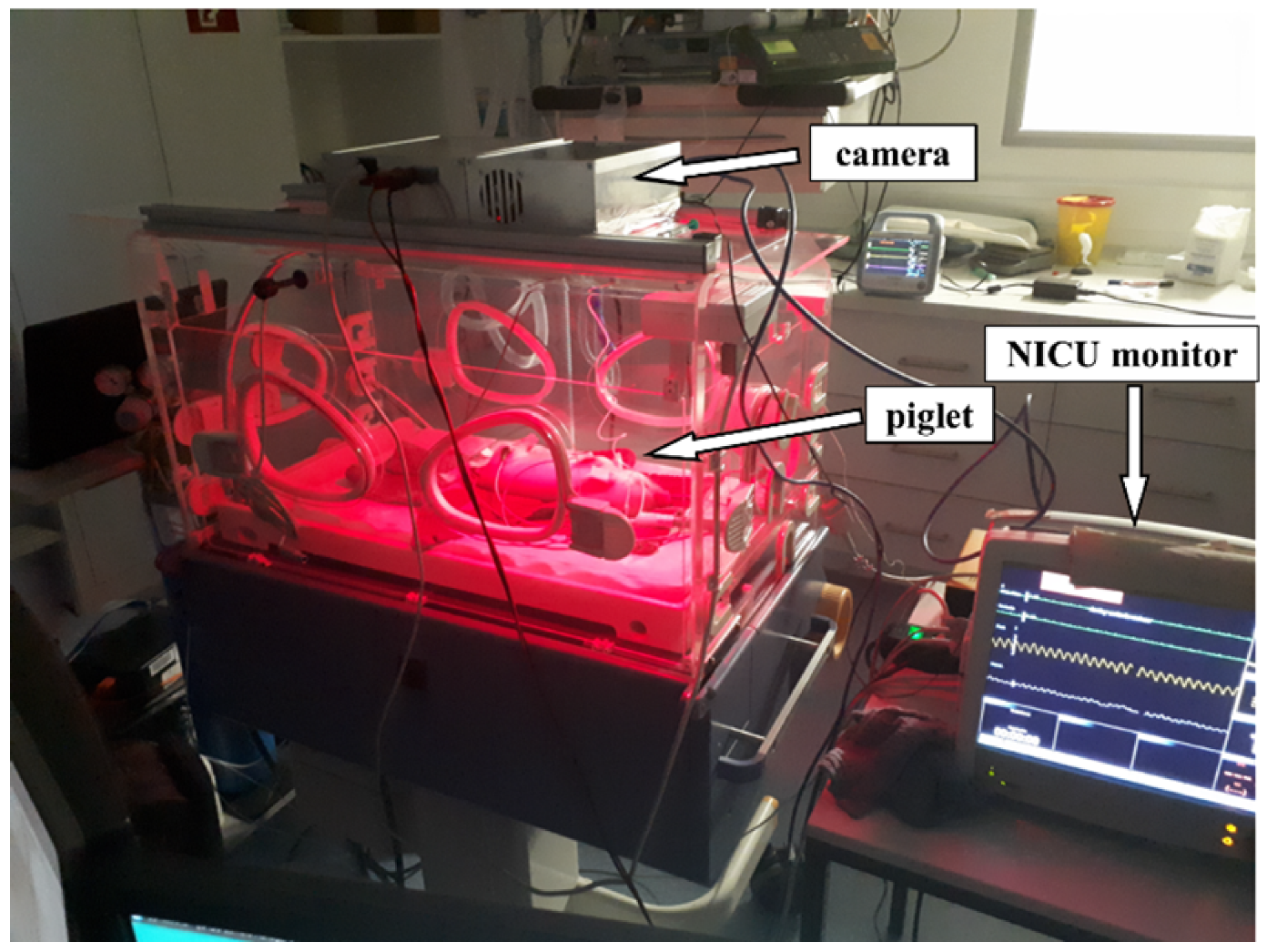 Preprints 113753 g008