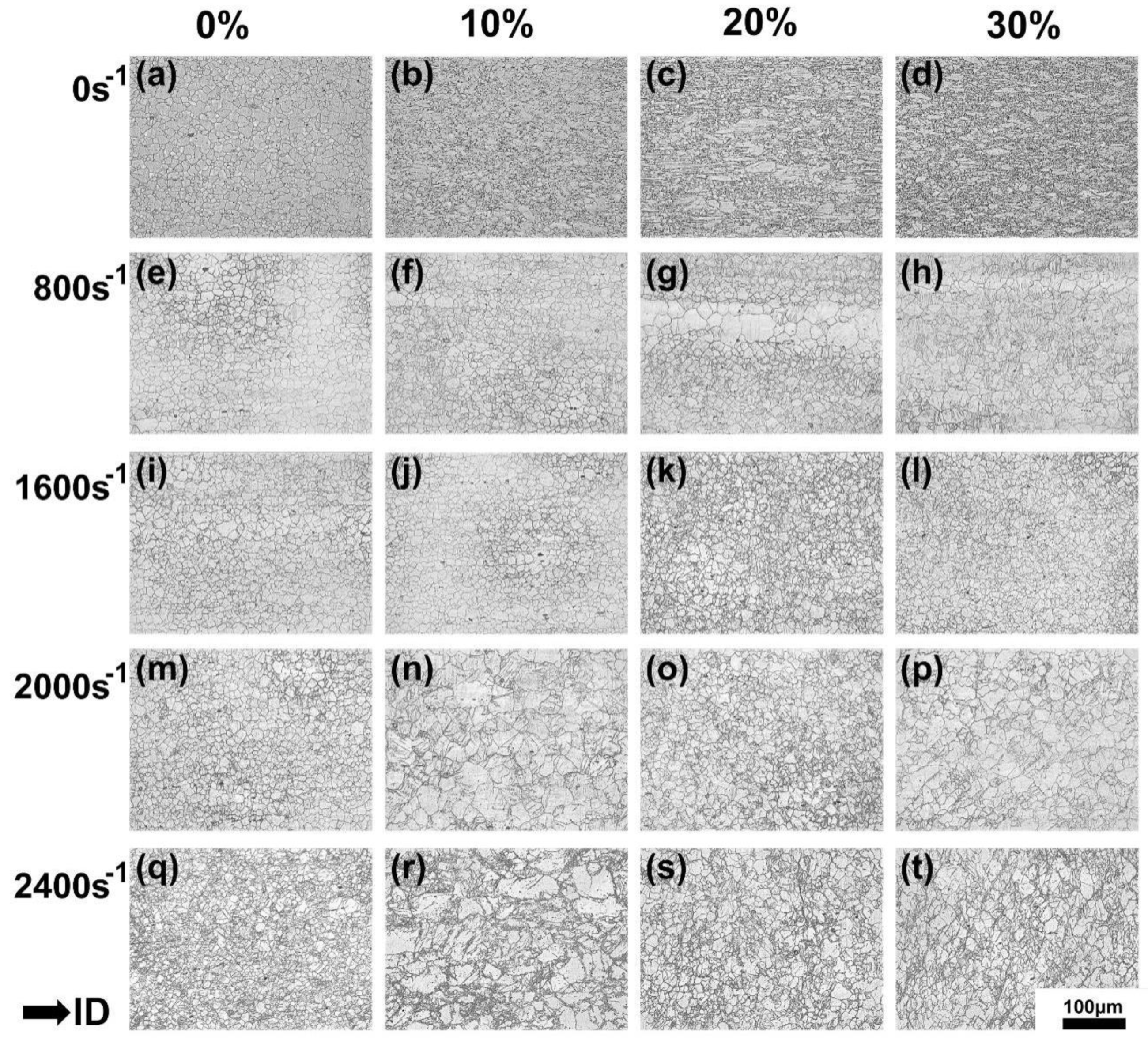 Preprints 106997 g001