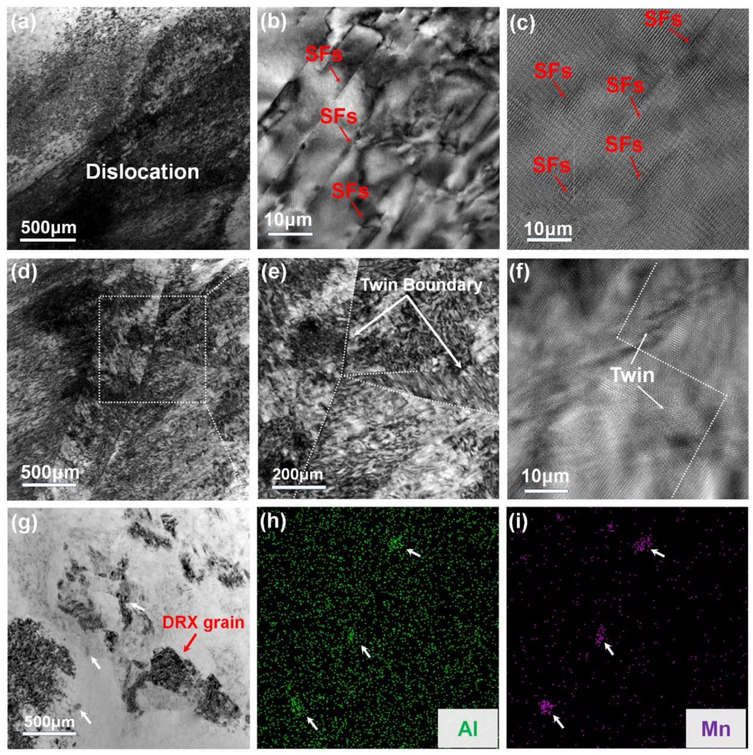 Preprints 106997 g010