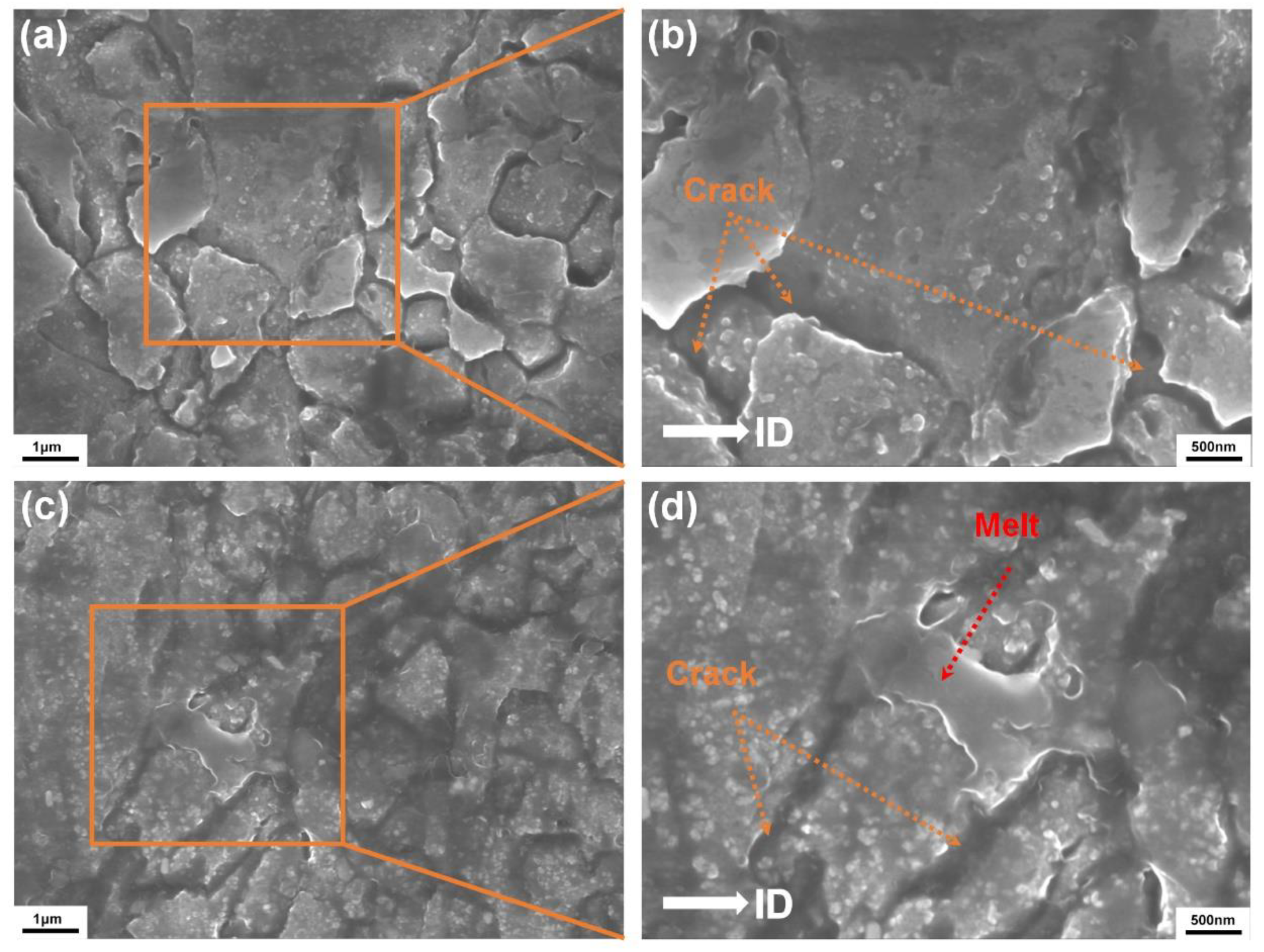 Preprints 106997 g012