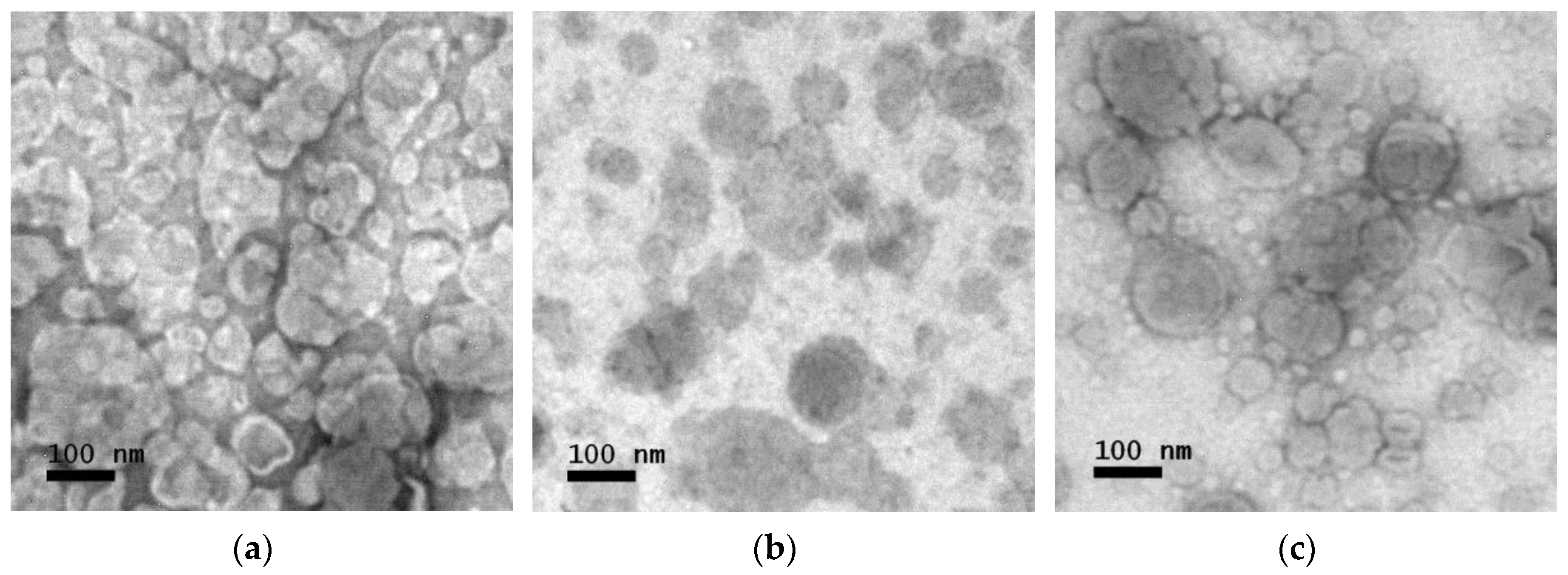 Preprints 122152 g003