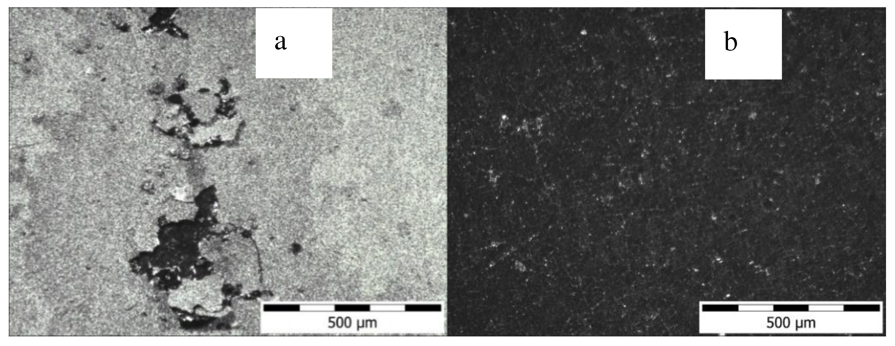 Preprints 72874 g009