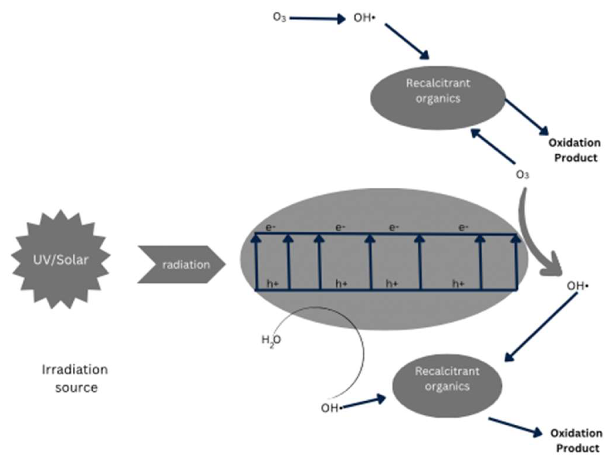 Preprints 114474 g001