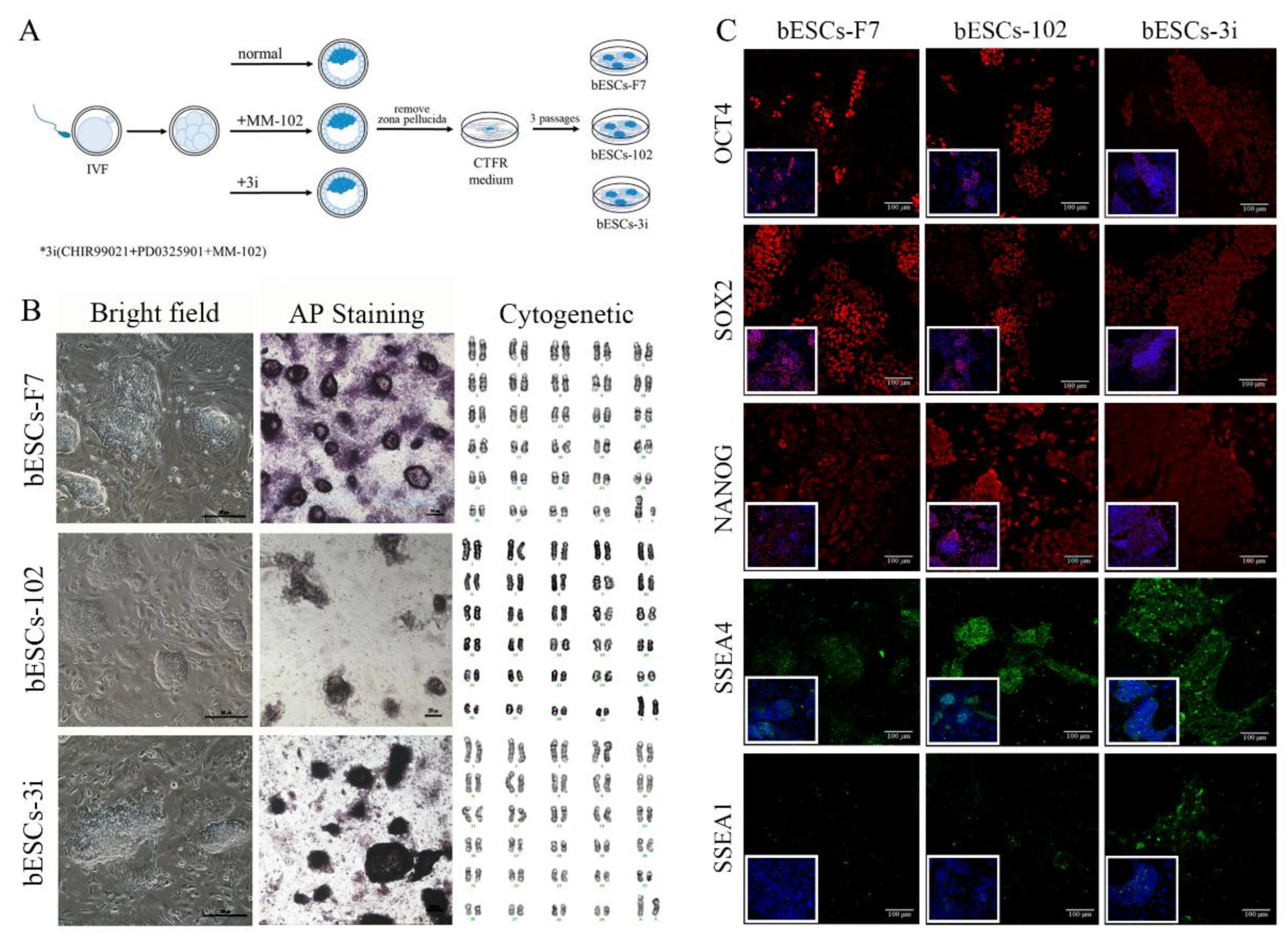 Preprints 77094 g001