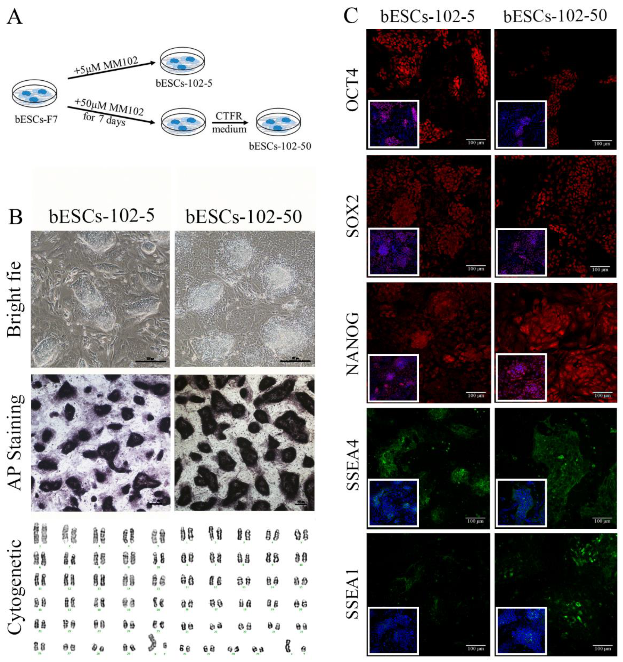 Preprints 77094 g003