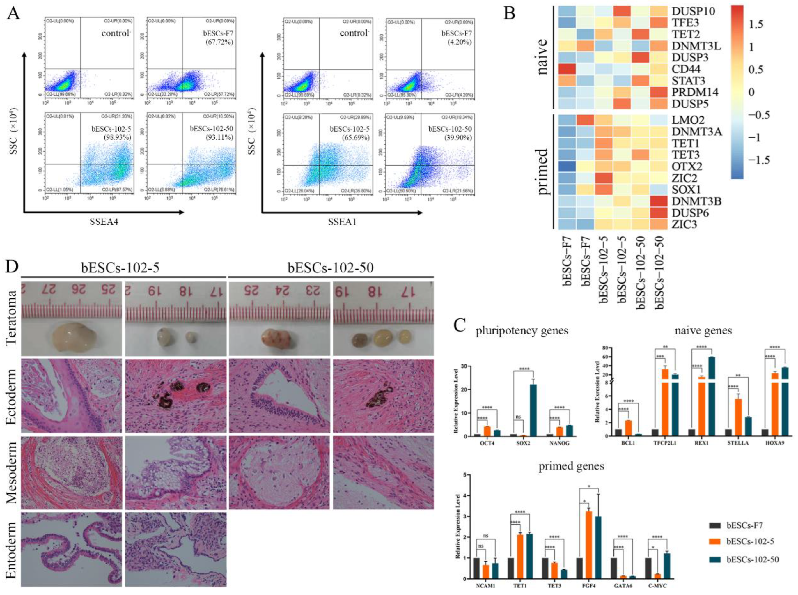 Preprints 77094 g004