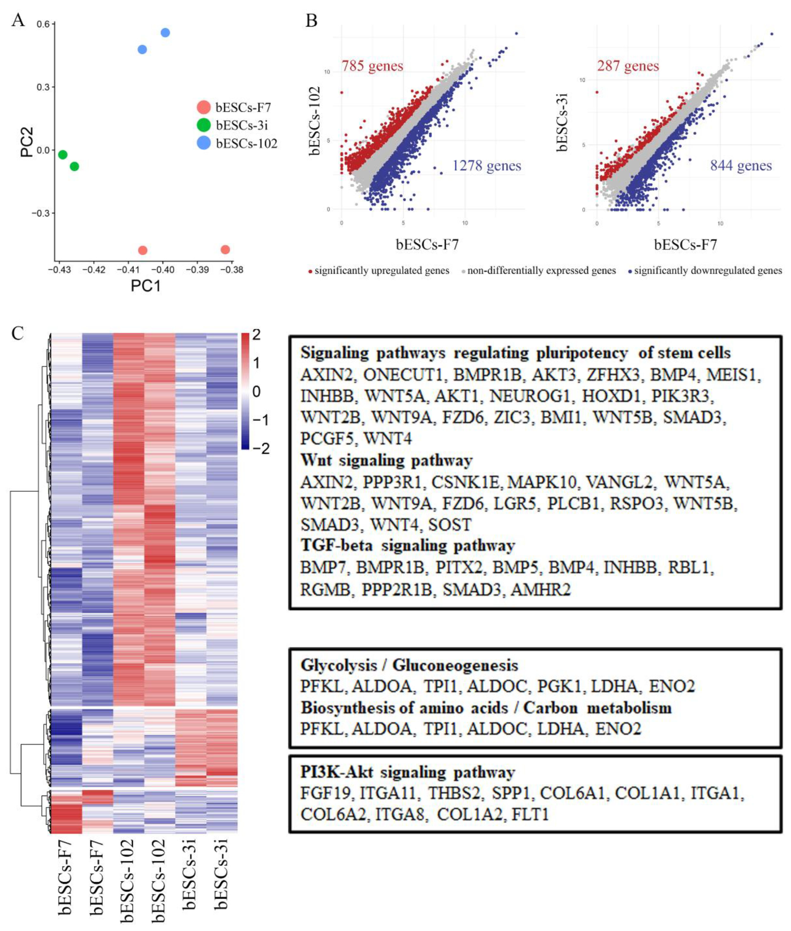 Preprints 77094 g005