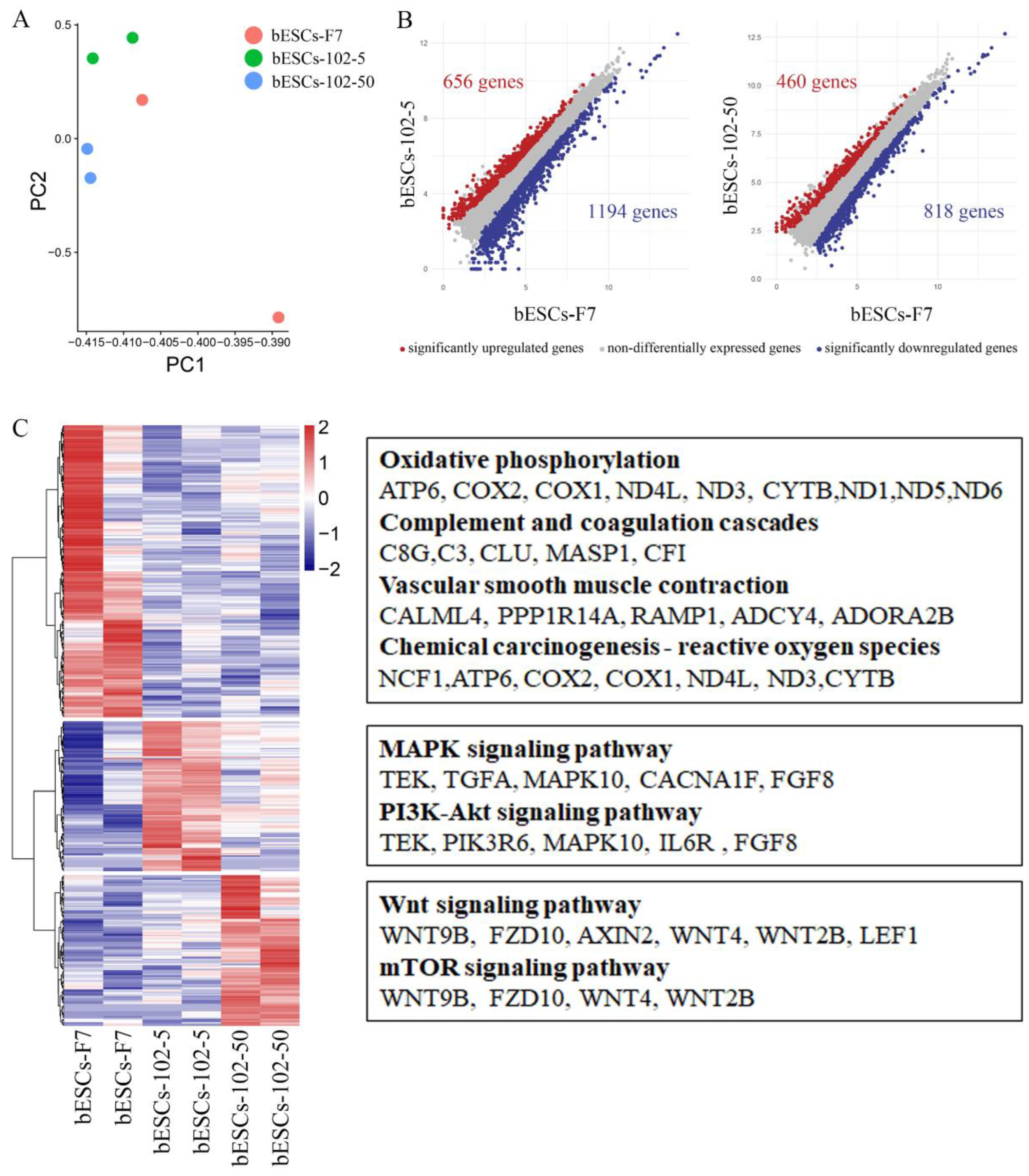 Preprints 77094 g006