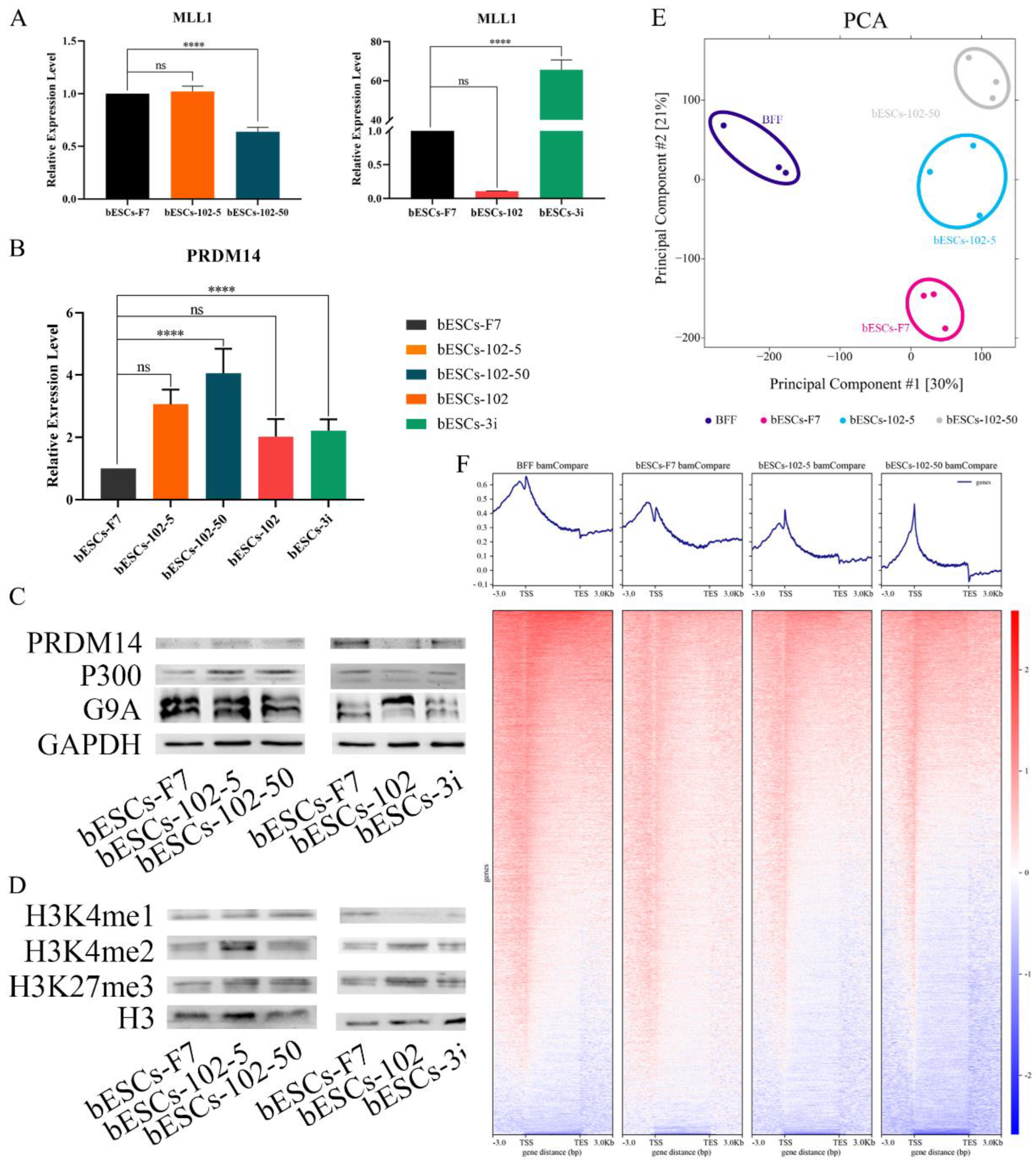 Preprints 77094 g007