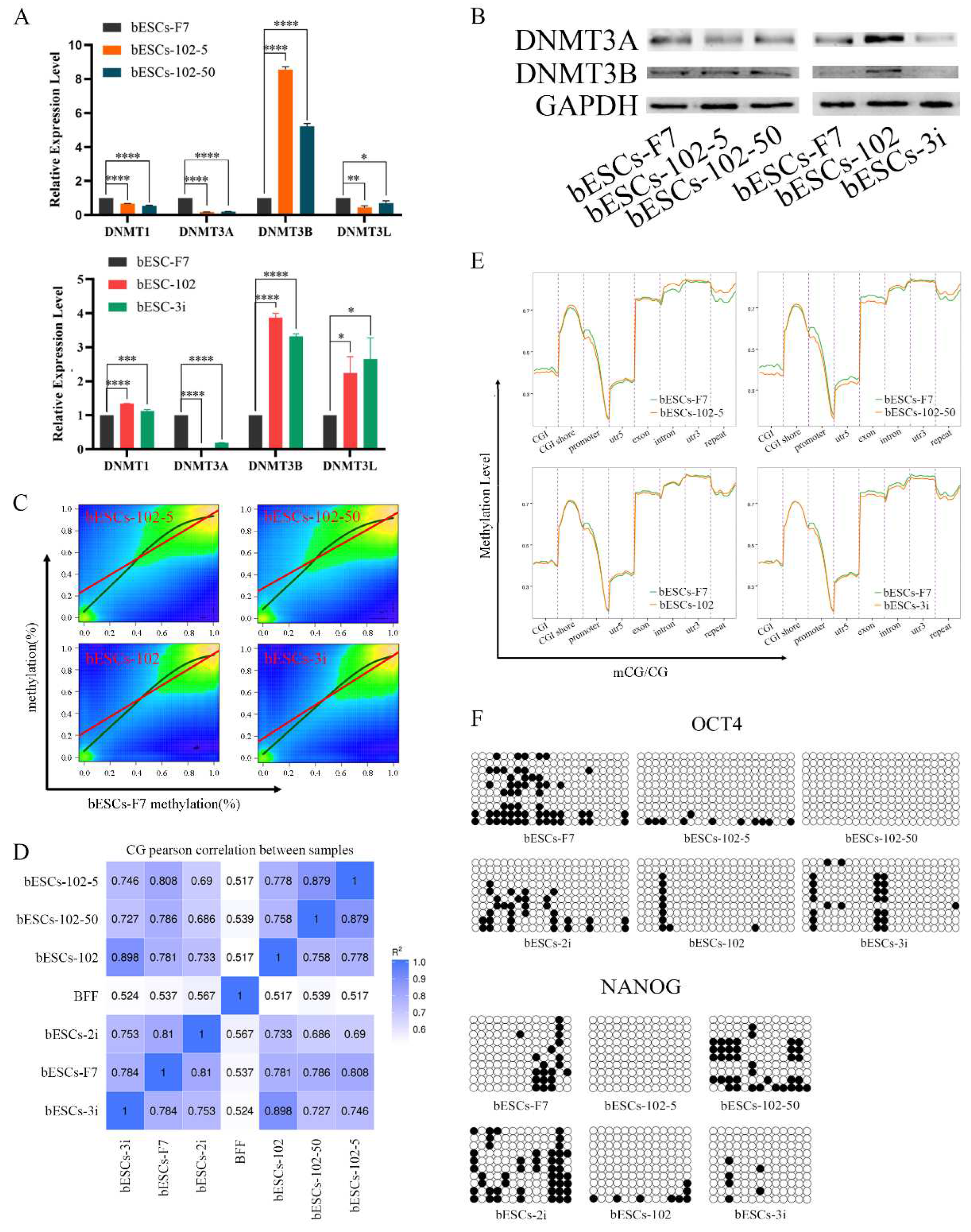 Preprints 77094 g009