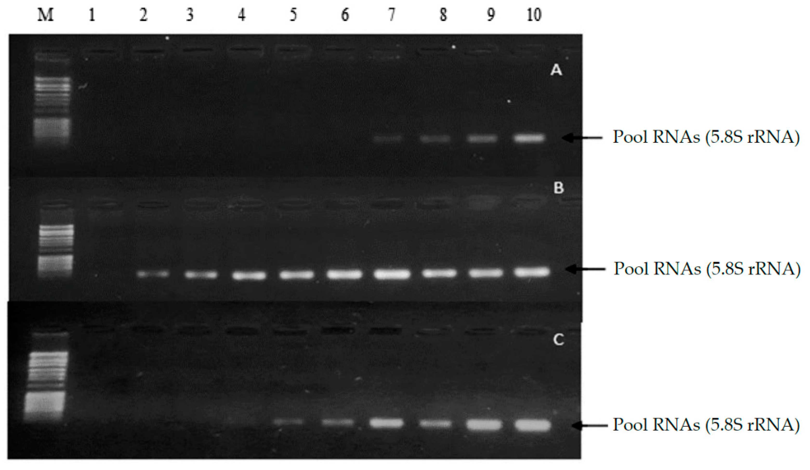 Preprints 118061 g001