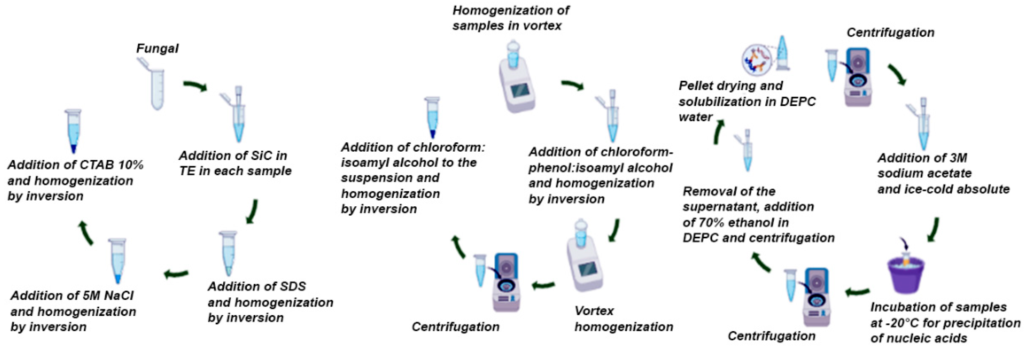 Preprints 118061 sch001