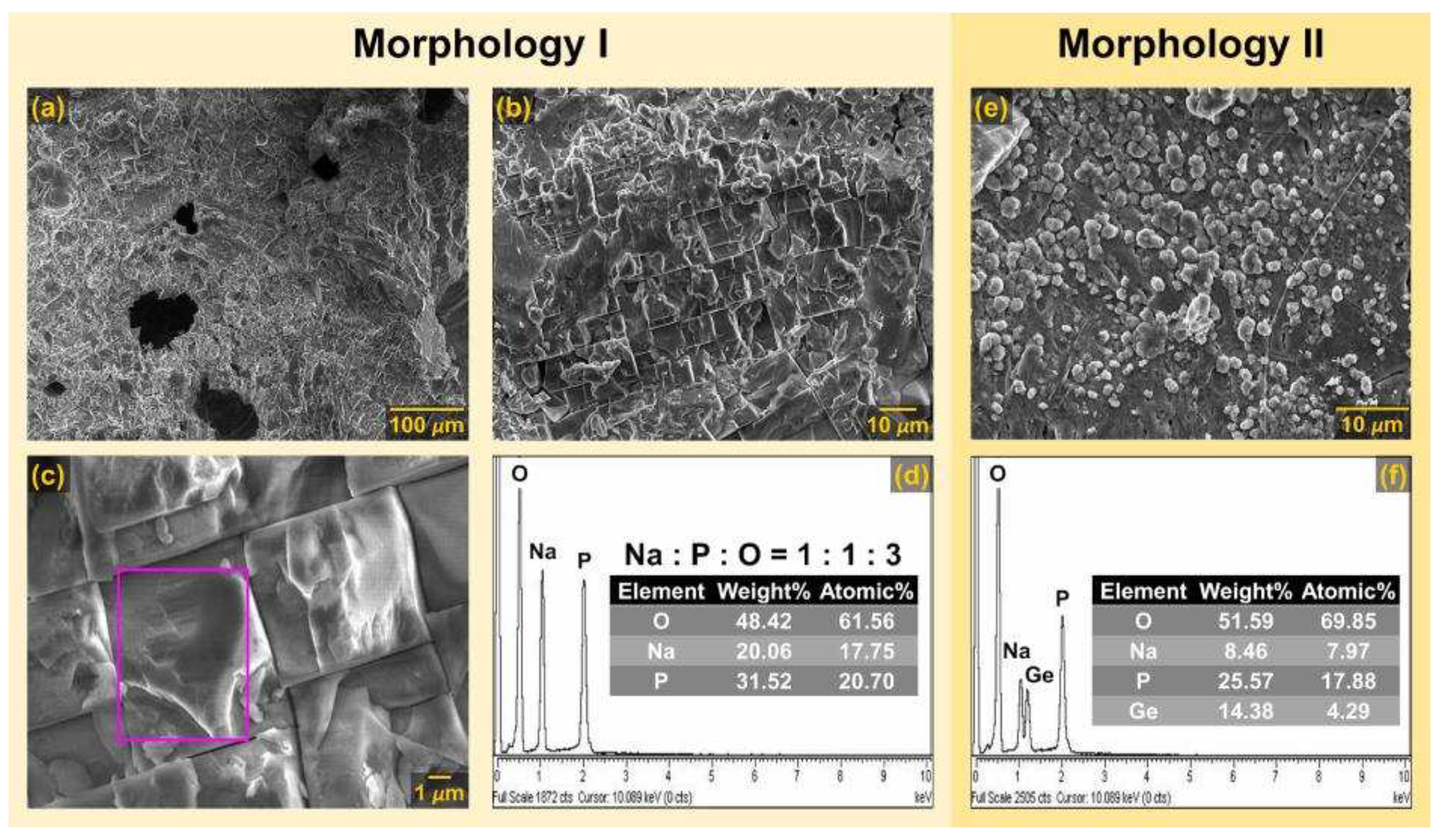 Preprints 92610 g003