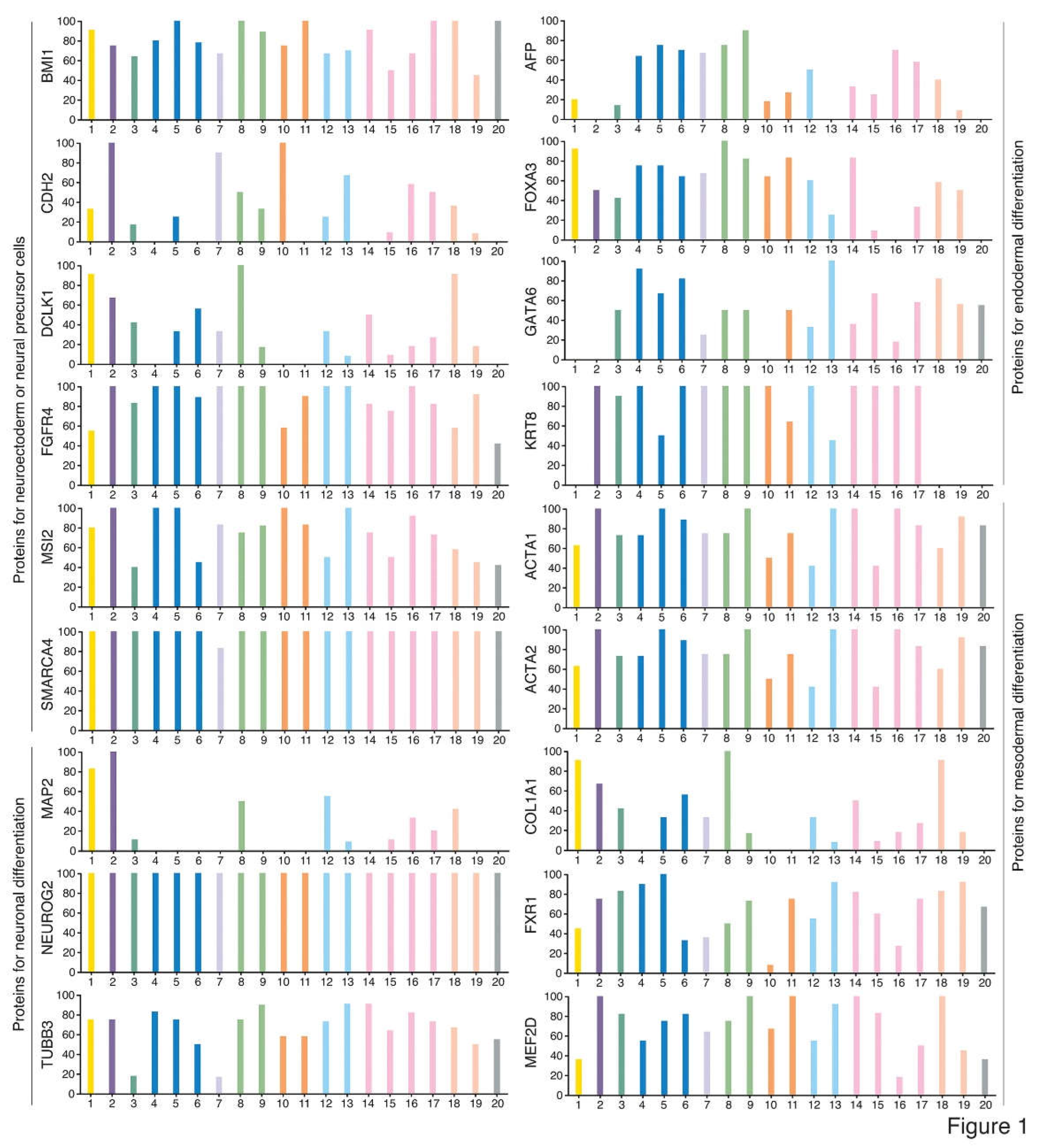 Preprints 69553 g001