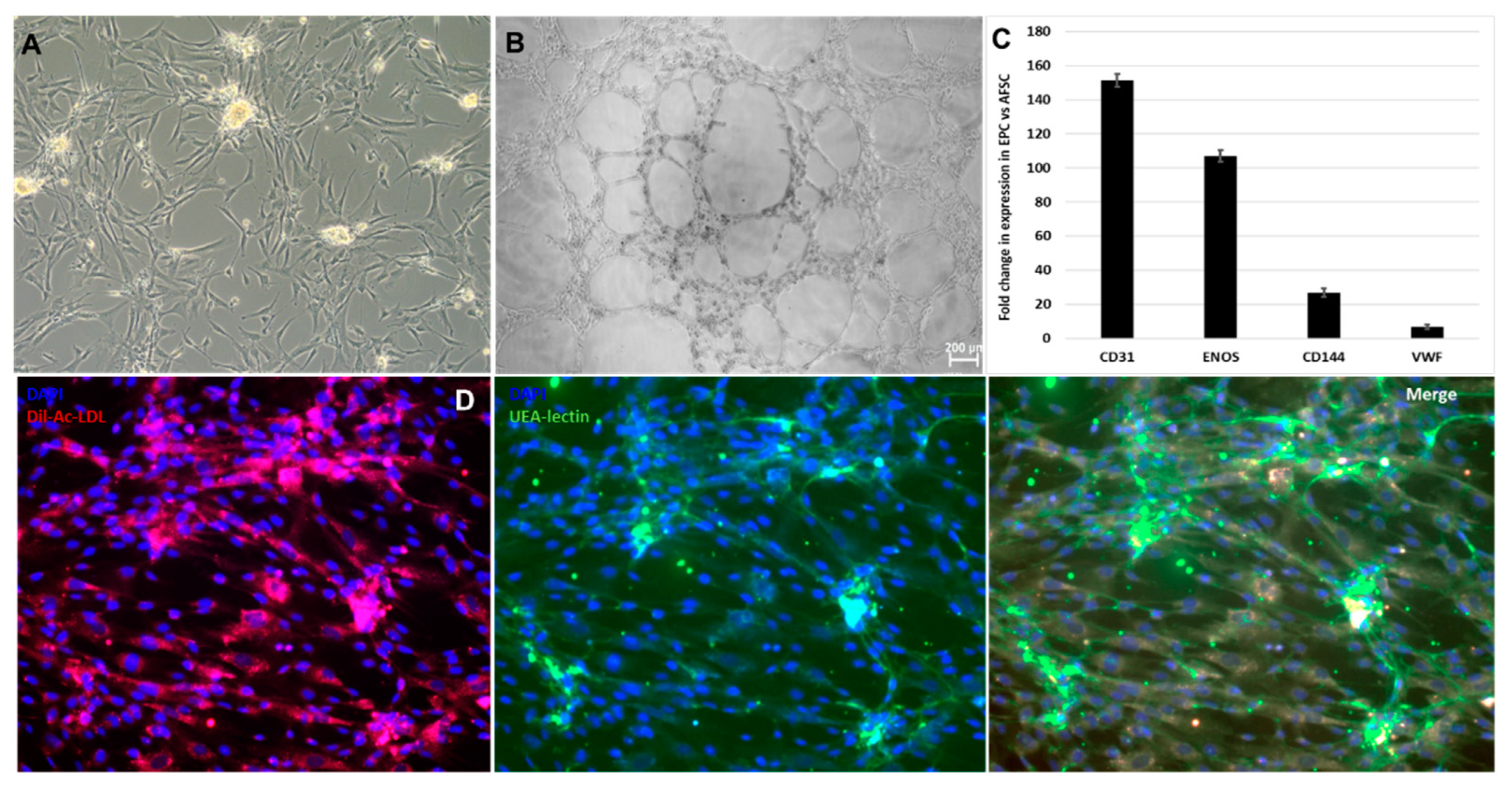 Preprints 90188 g001