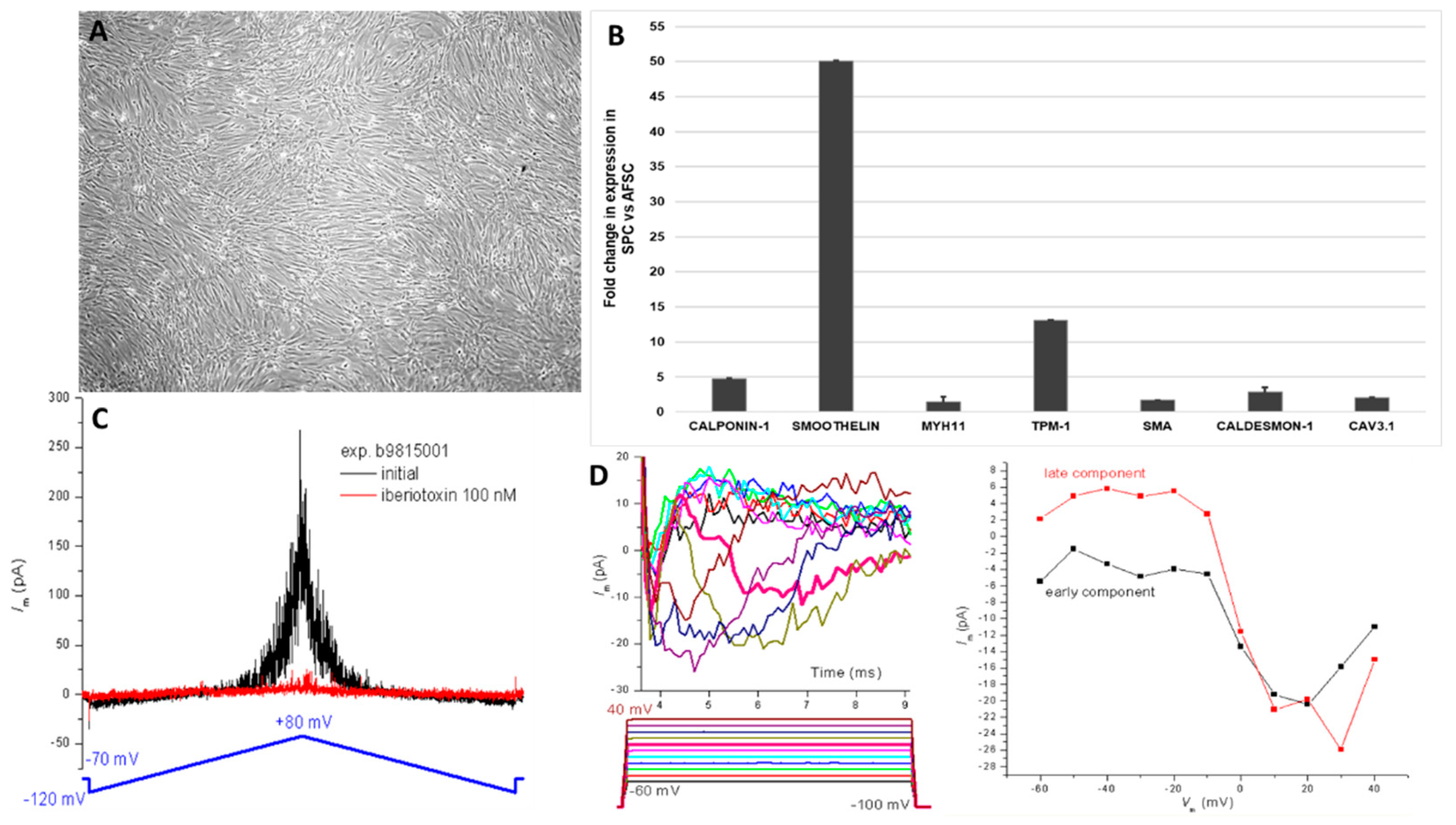 Preprints 90188 g002