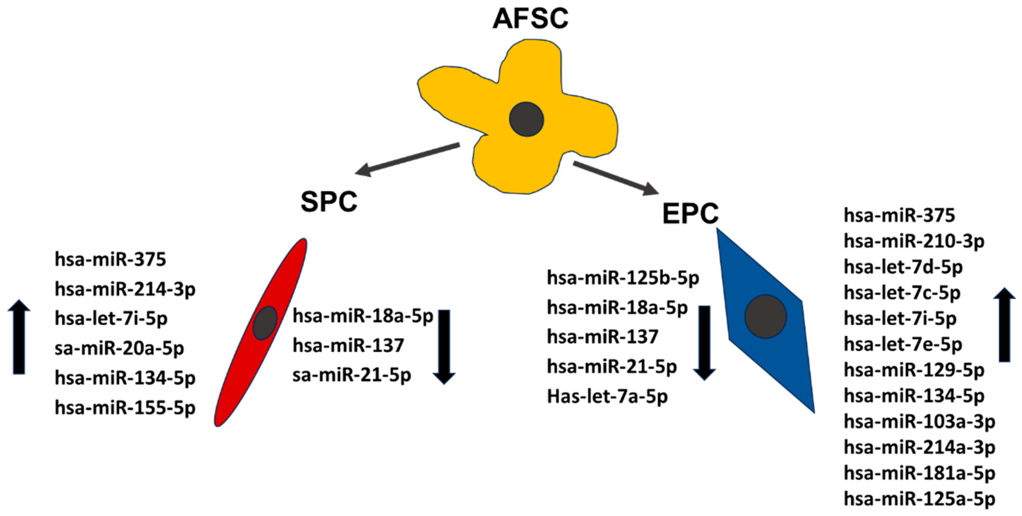 Preprints 90188 g005