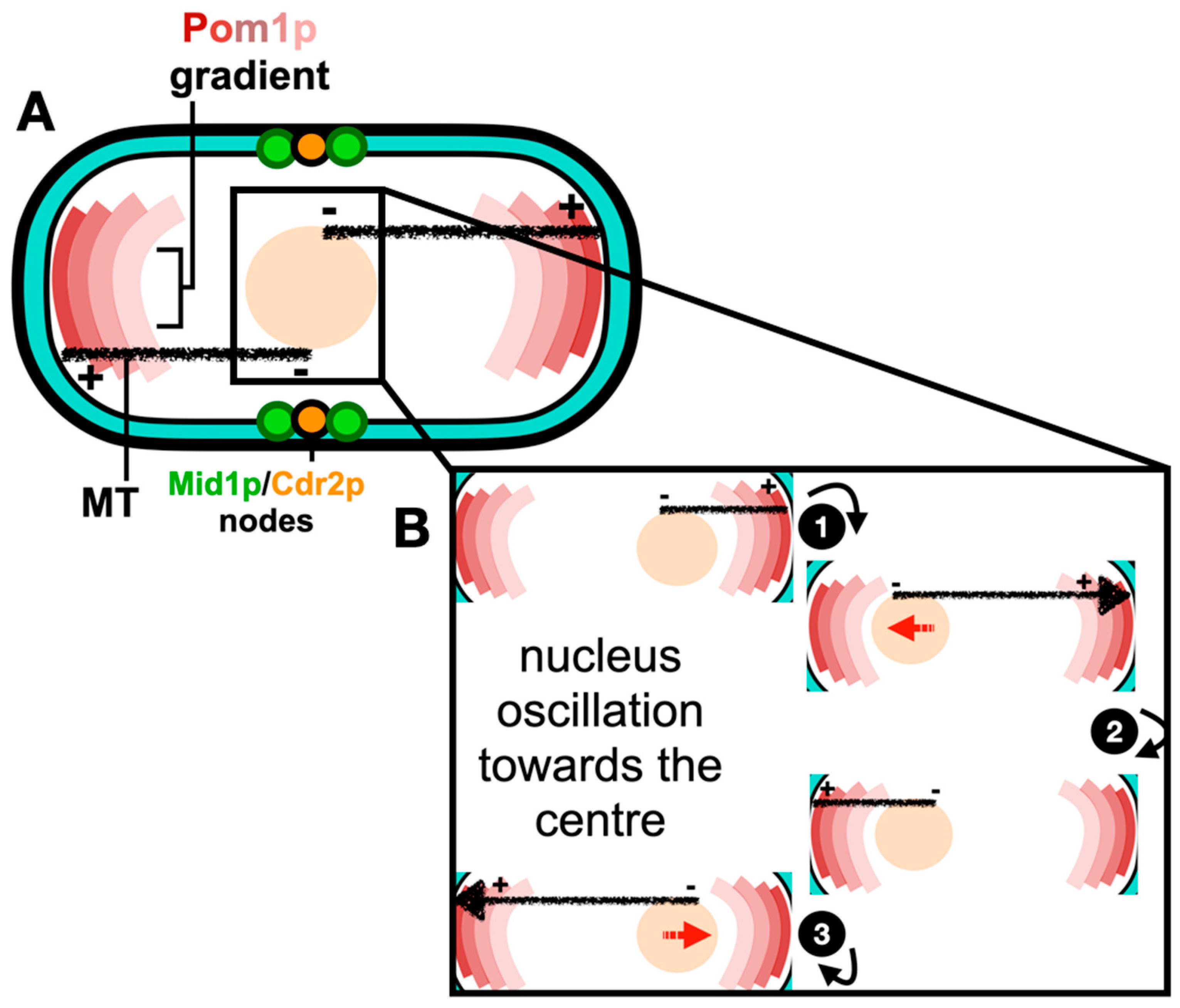 Preprints 95107 g001