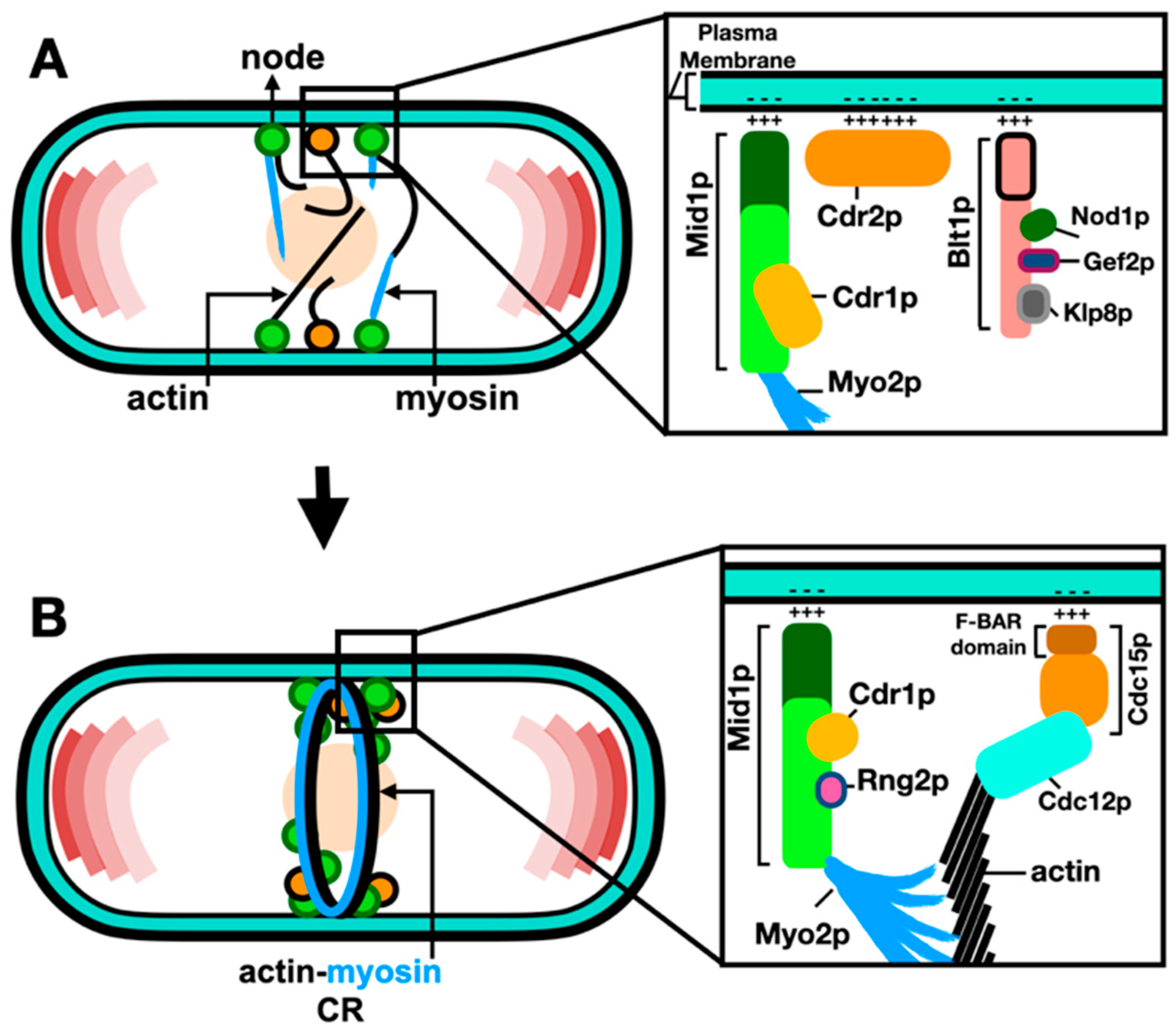 Preprints 95107 g002