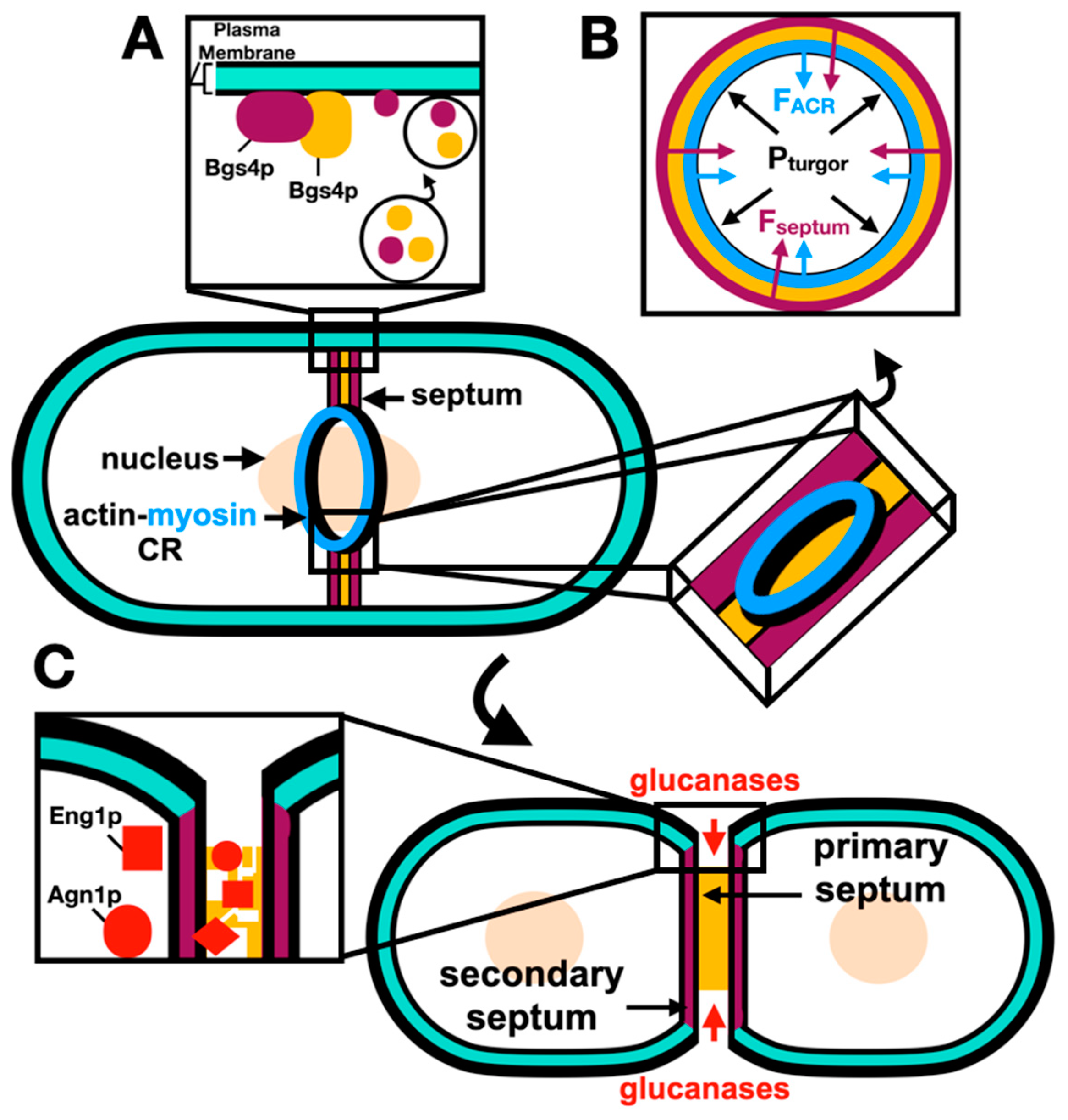 Preprints 95107 g003