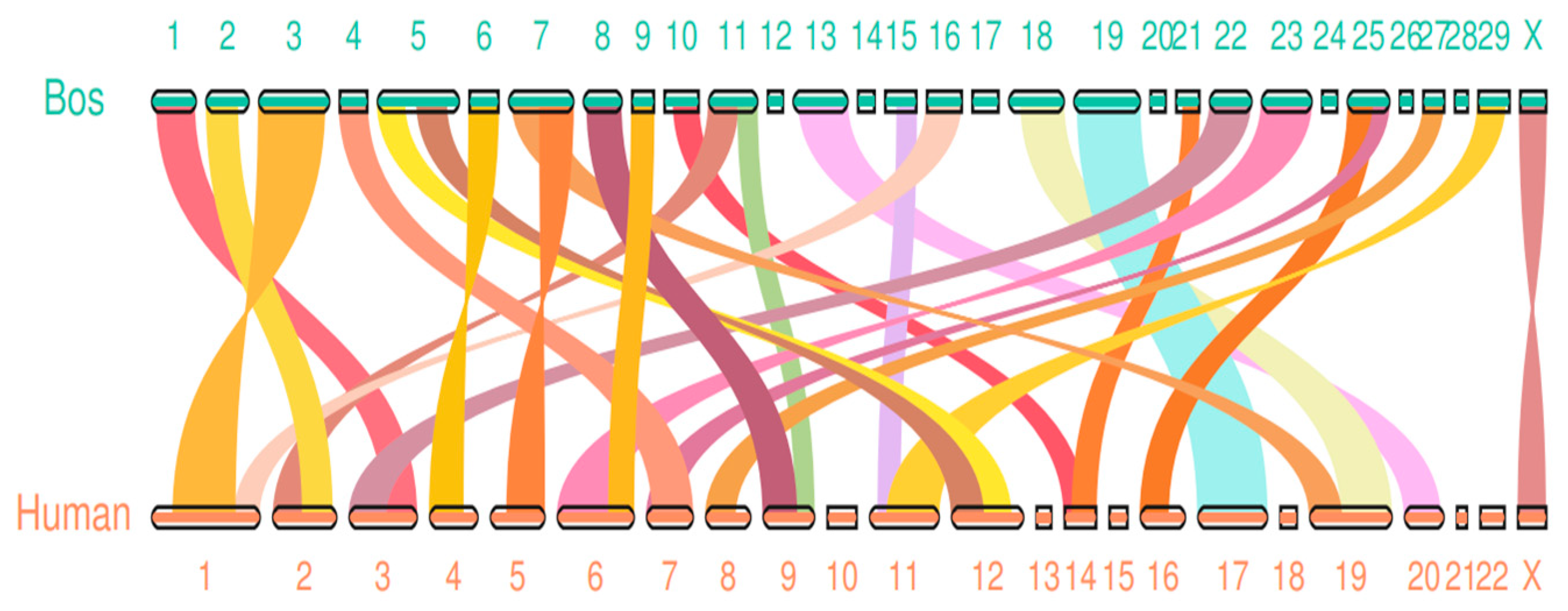 Preprints 87527 g002