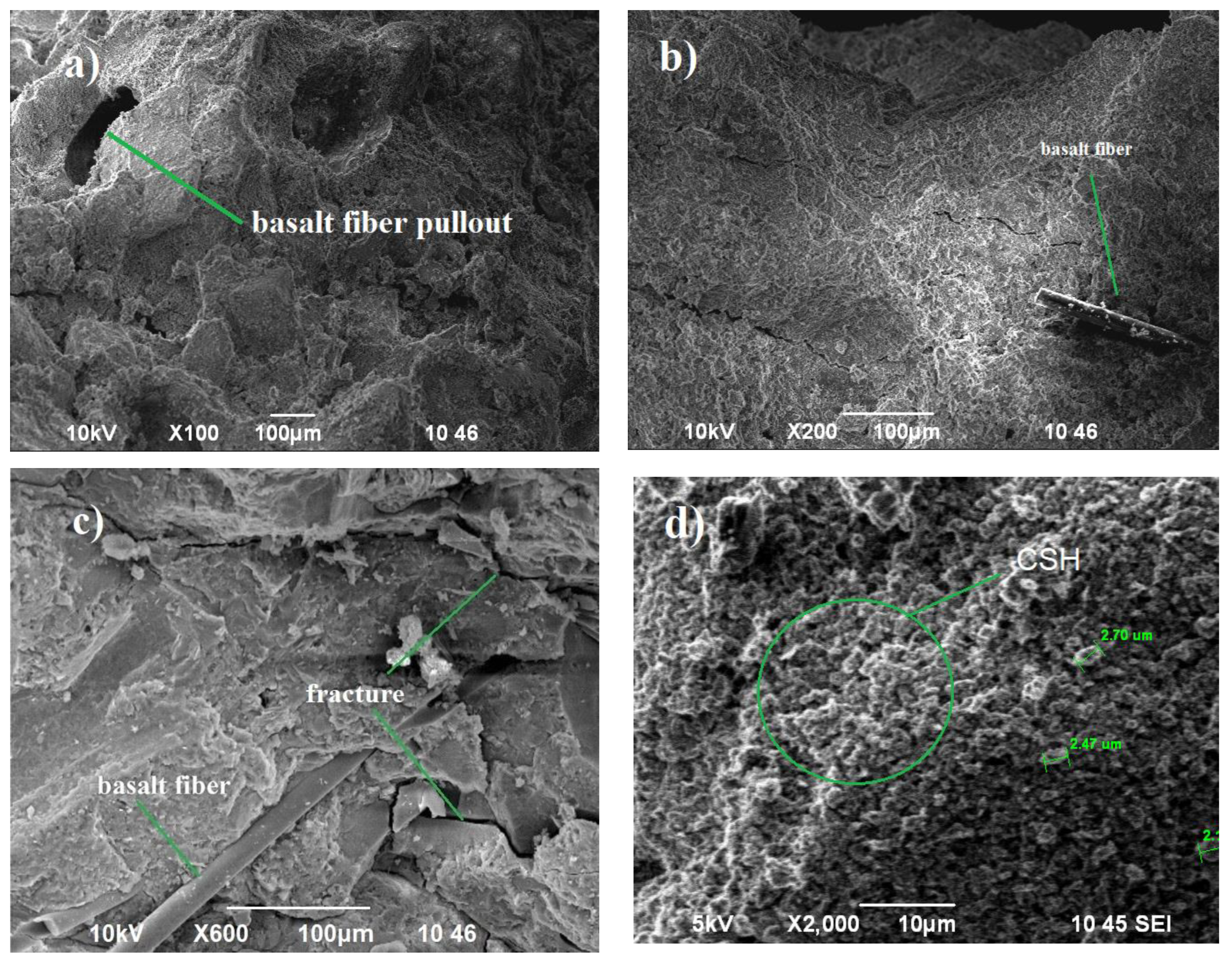 Preprints 108969 g005