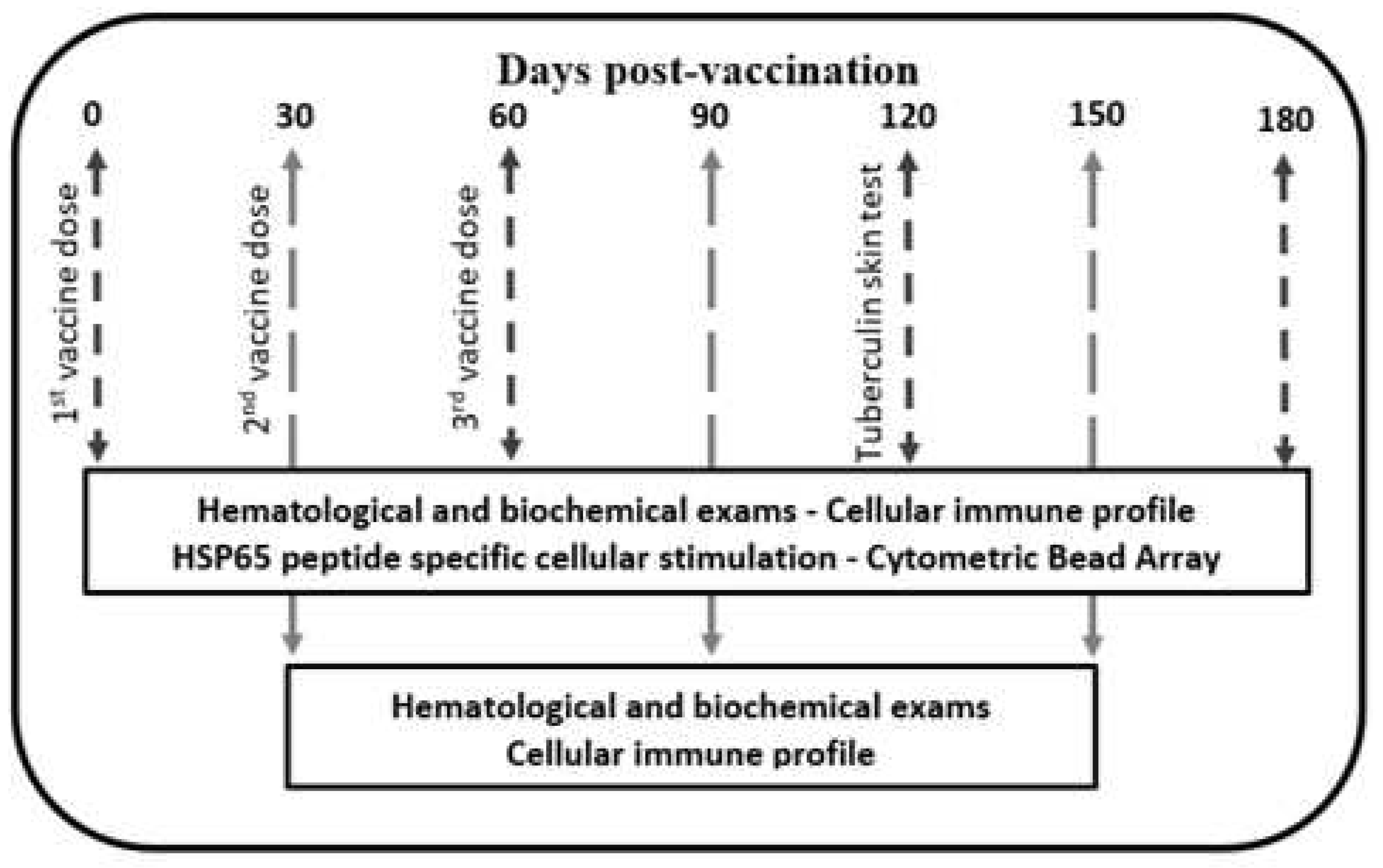 Preprints 88359 g001