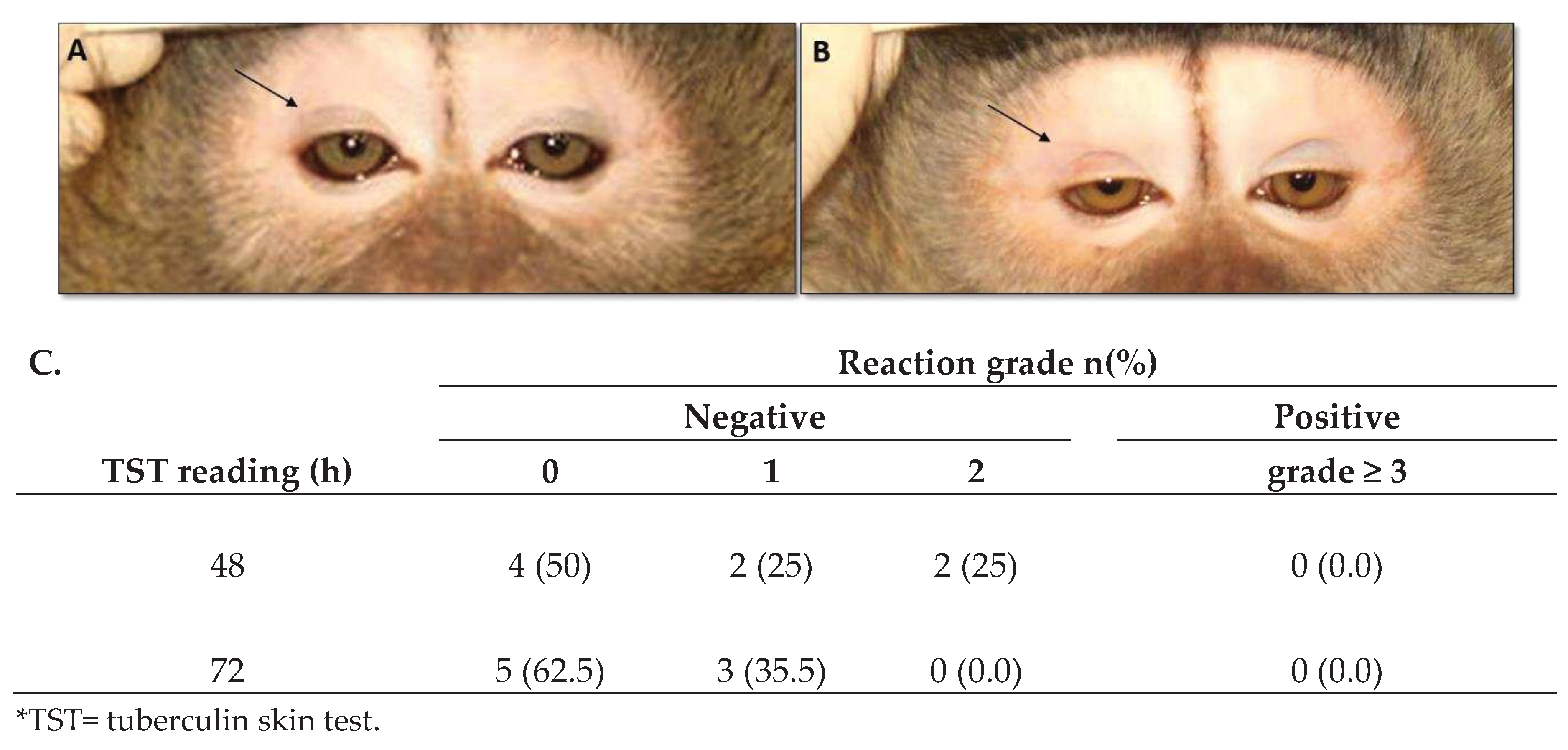 Preprints 88359 g002