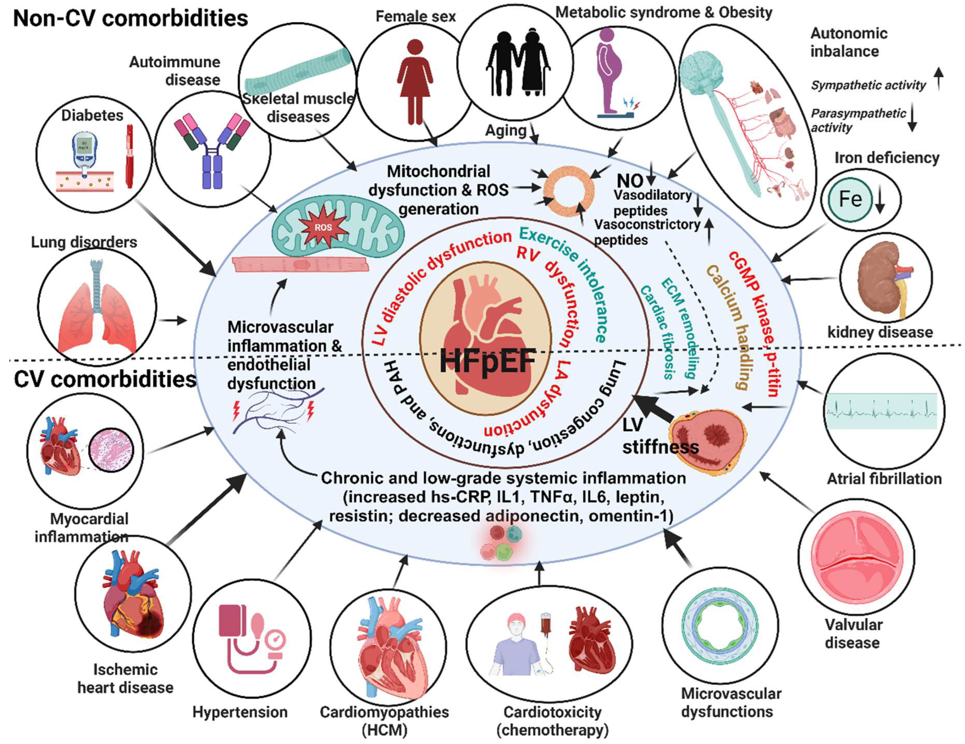 Preprints 119453 g001