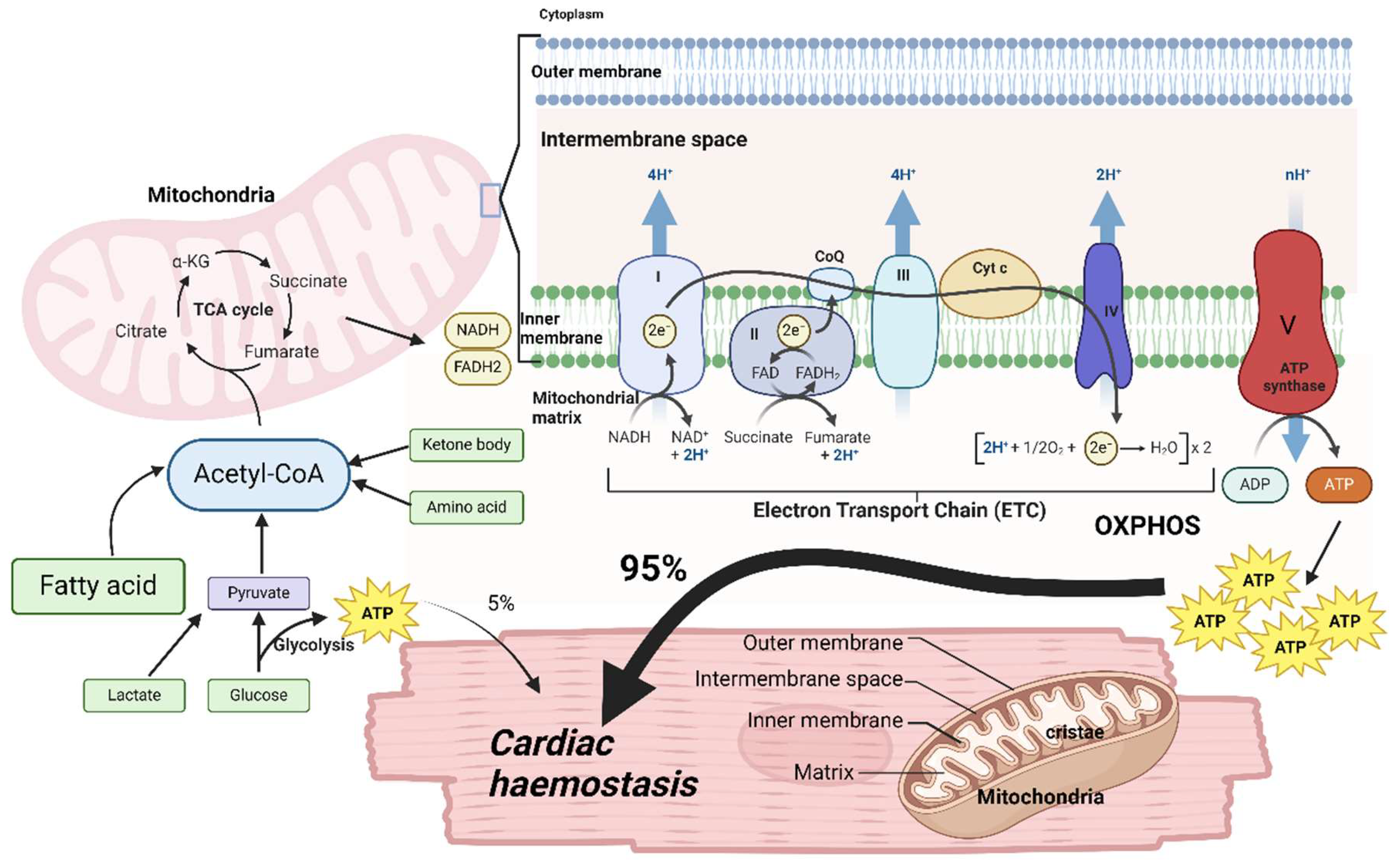 Preprints 119453 g002