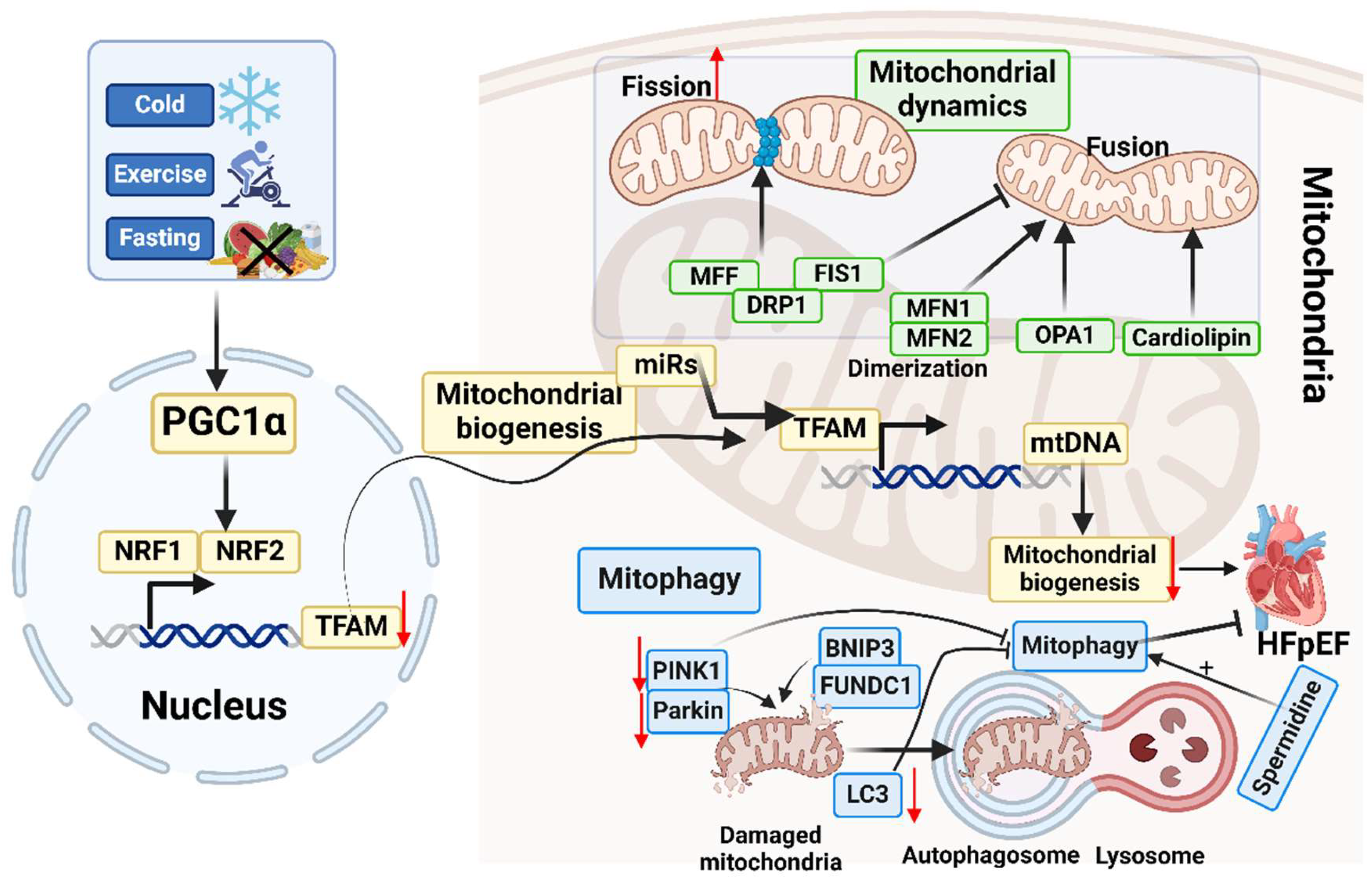 Preprints 119453 g004