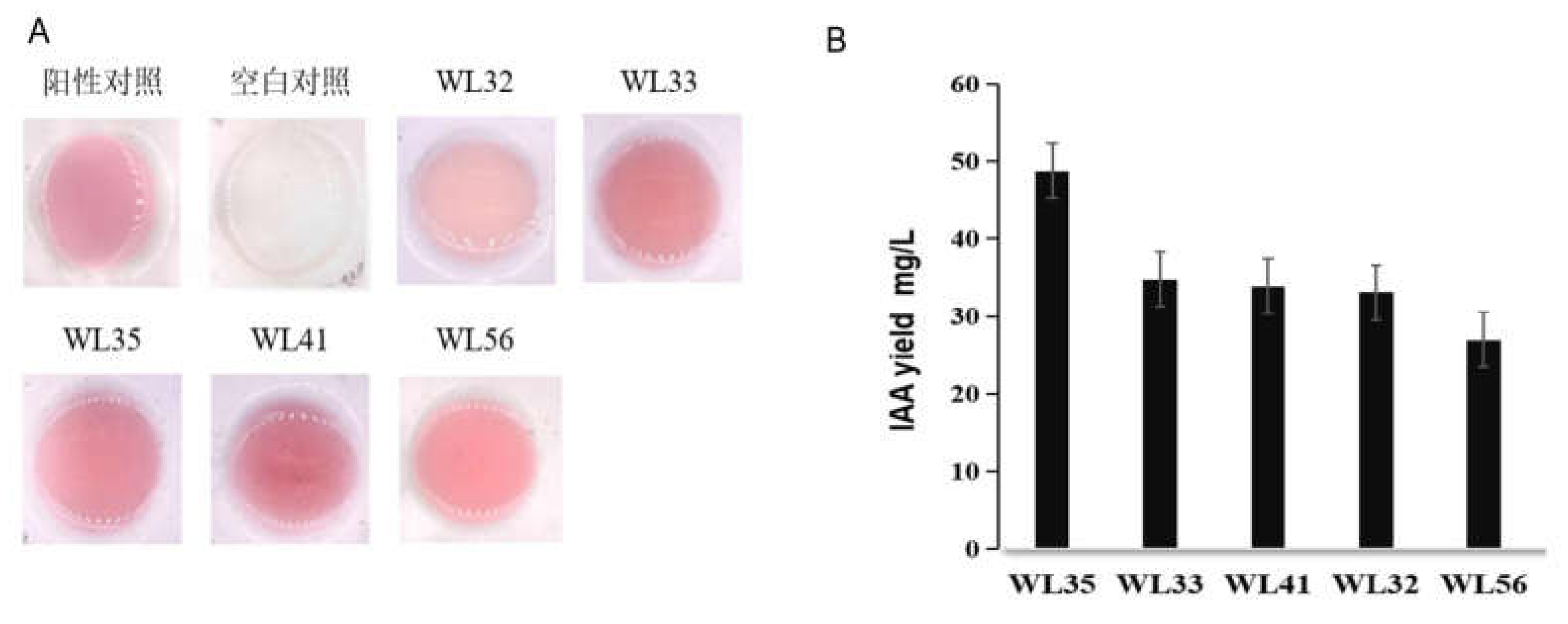 Preprints 111519 g001