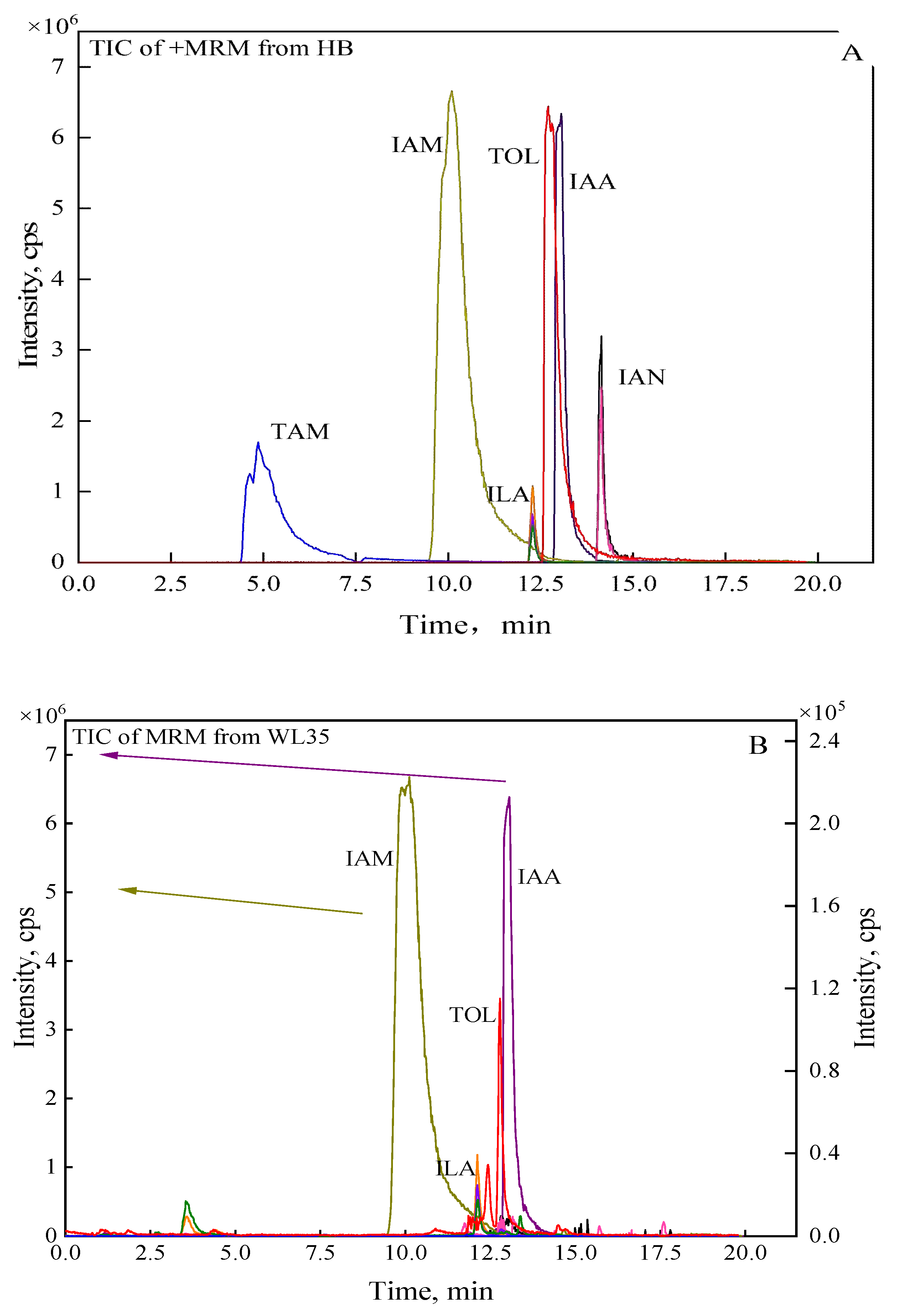 Preprints 111519 g003a