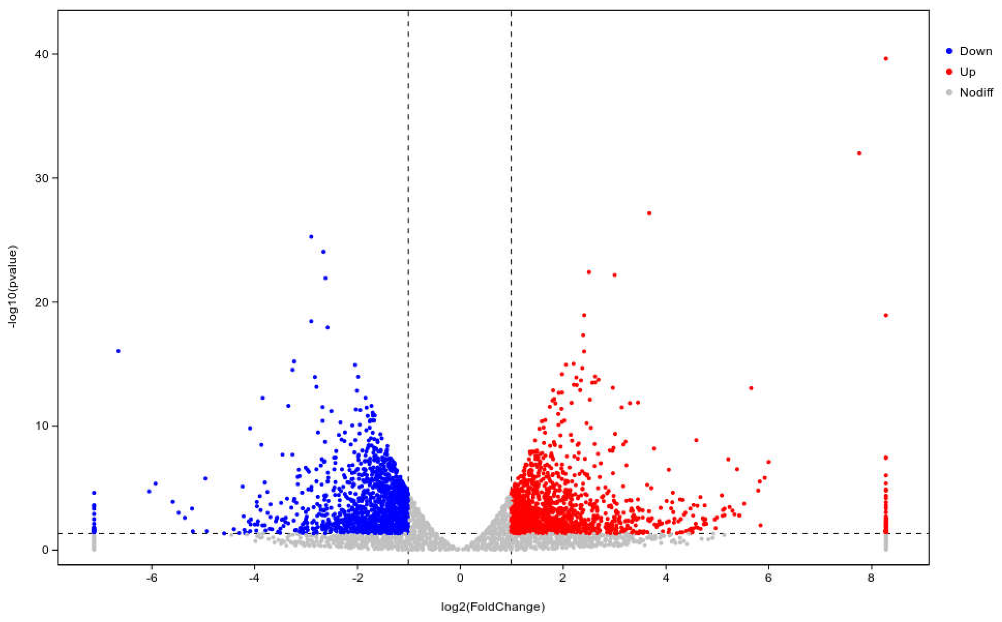 Preprints 111519 g004