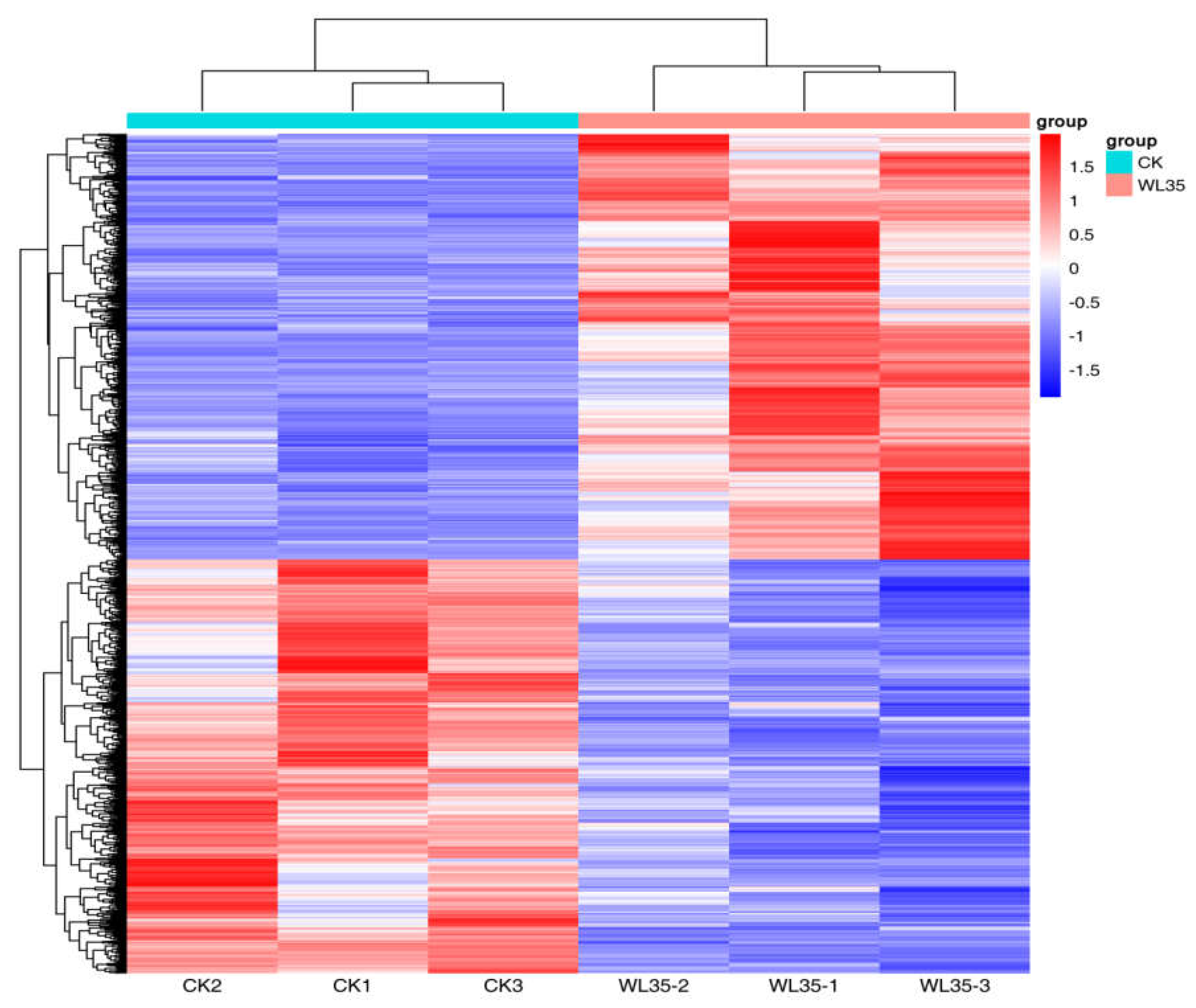 Preprints 111519 g005