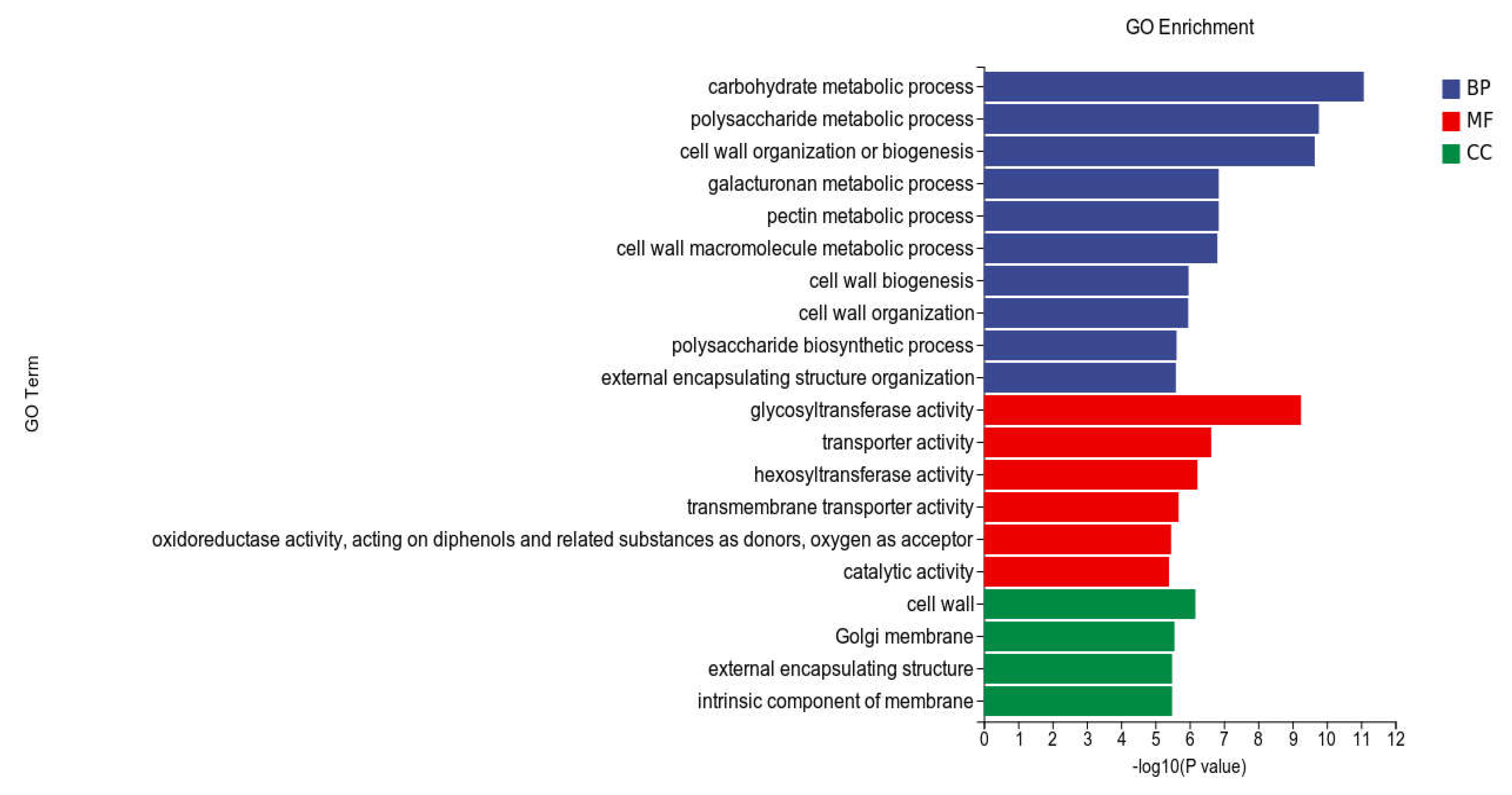 Preprints 111519 g006