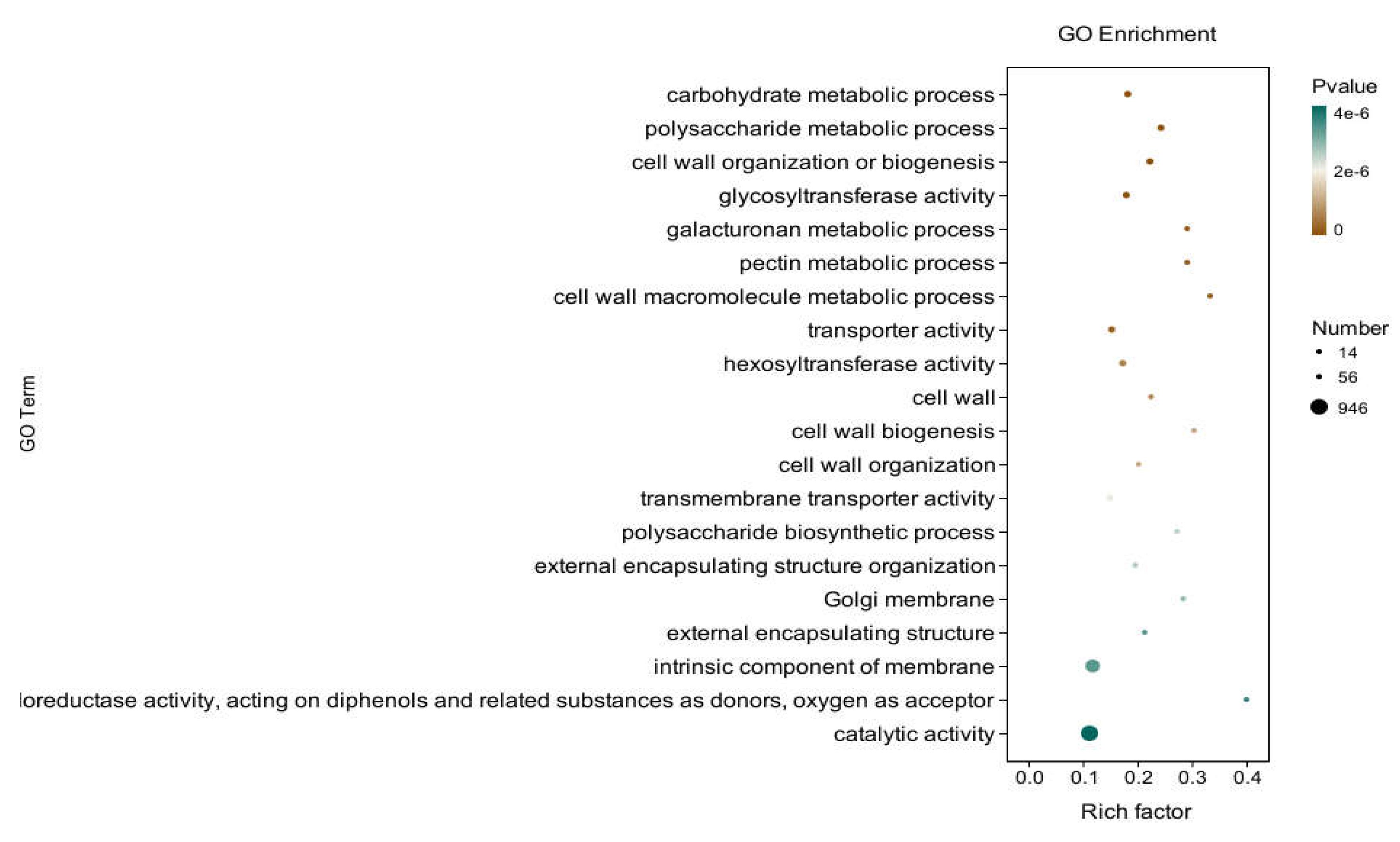 Preprints 111519 g007