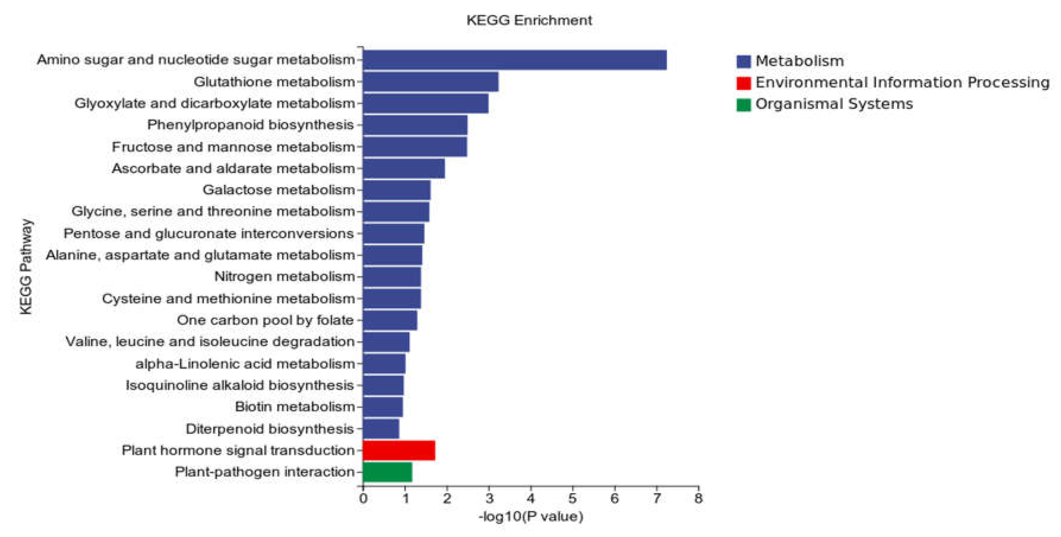 Preprints 111519 g008