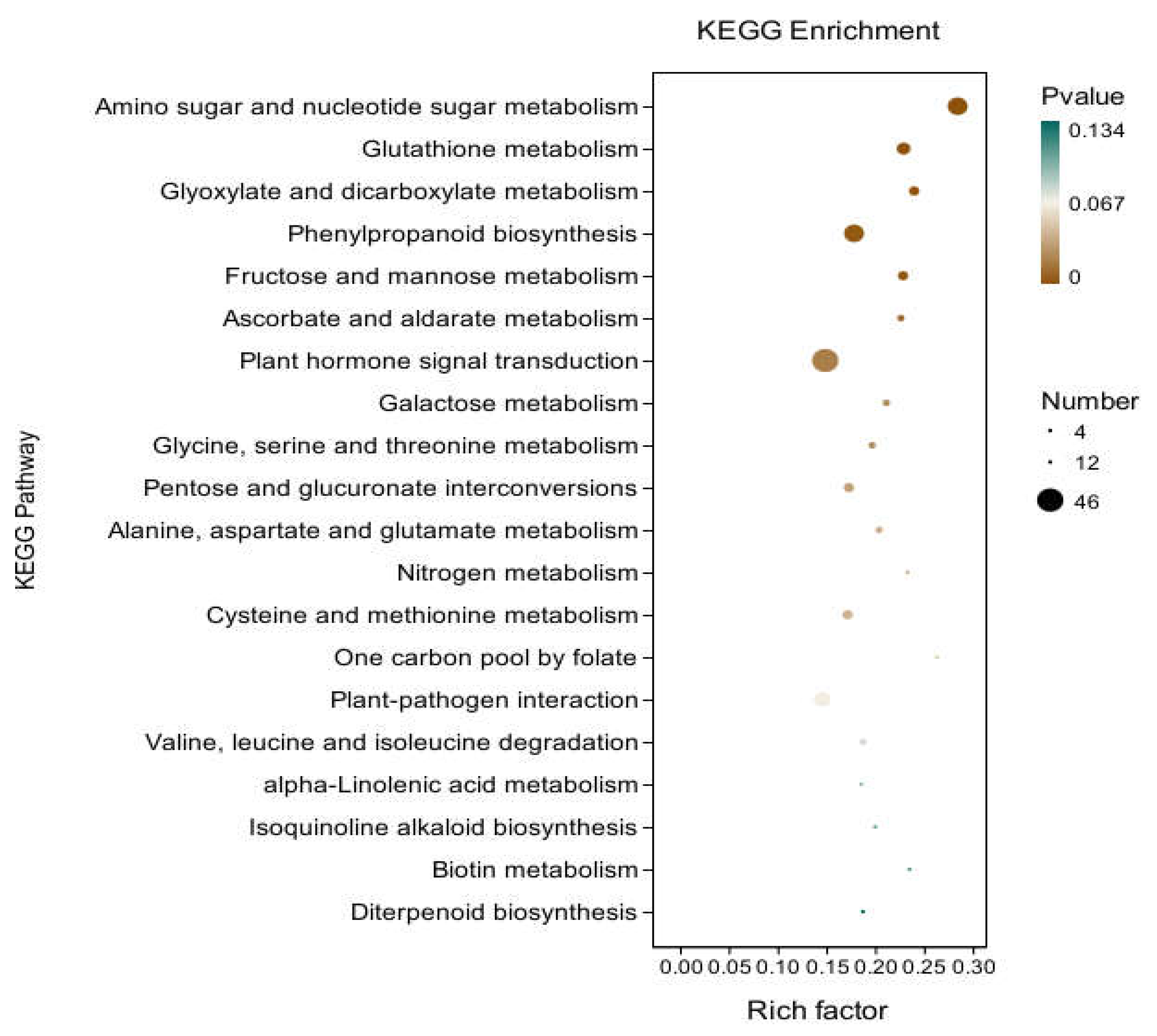 Preprints 111519 g009