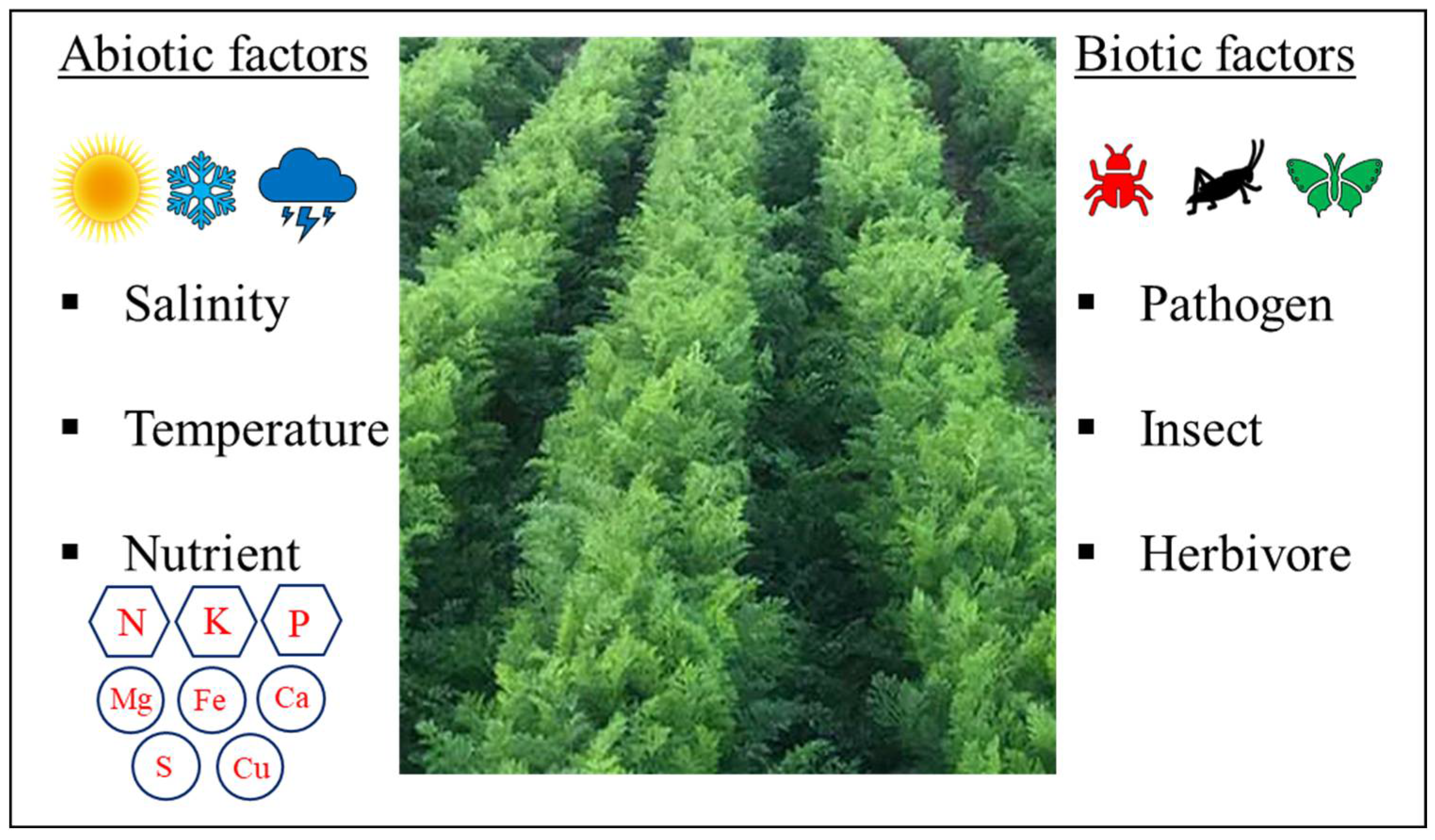 Preprints 110796 g001