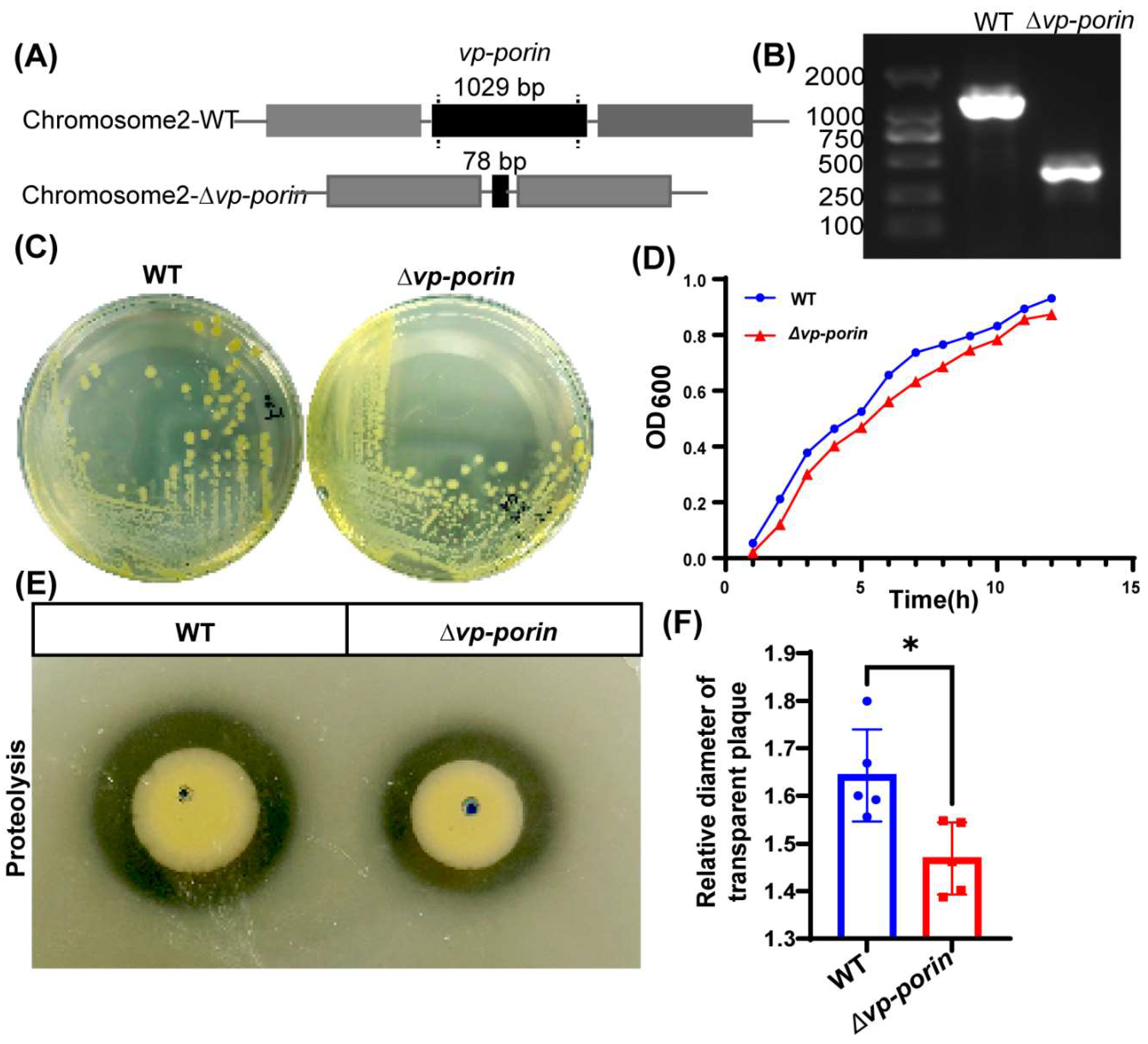 Preprints 108443 g002