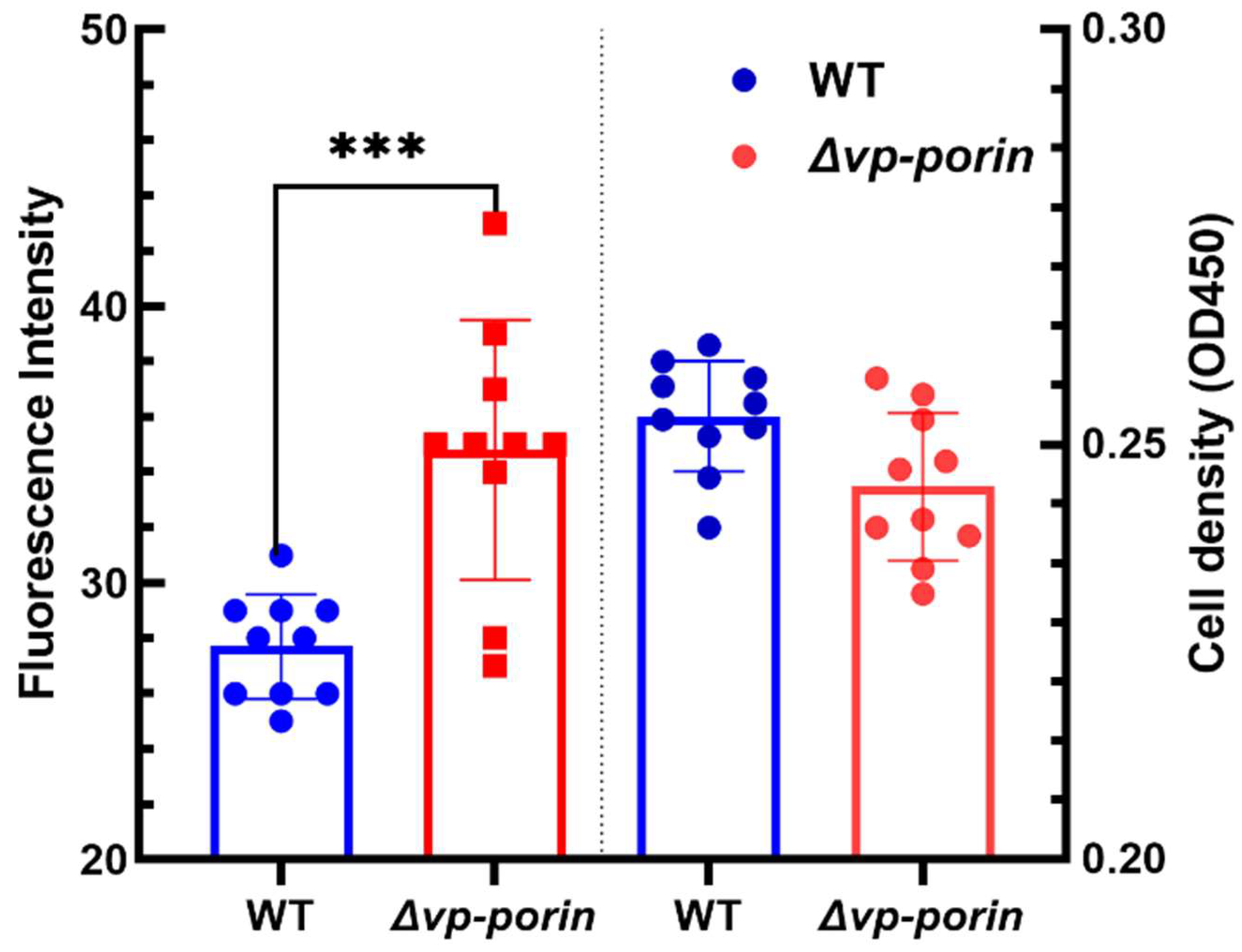 Preprints 108443 g003