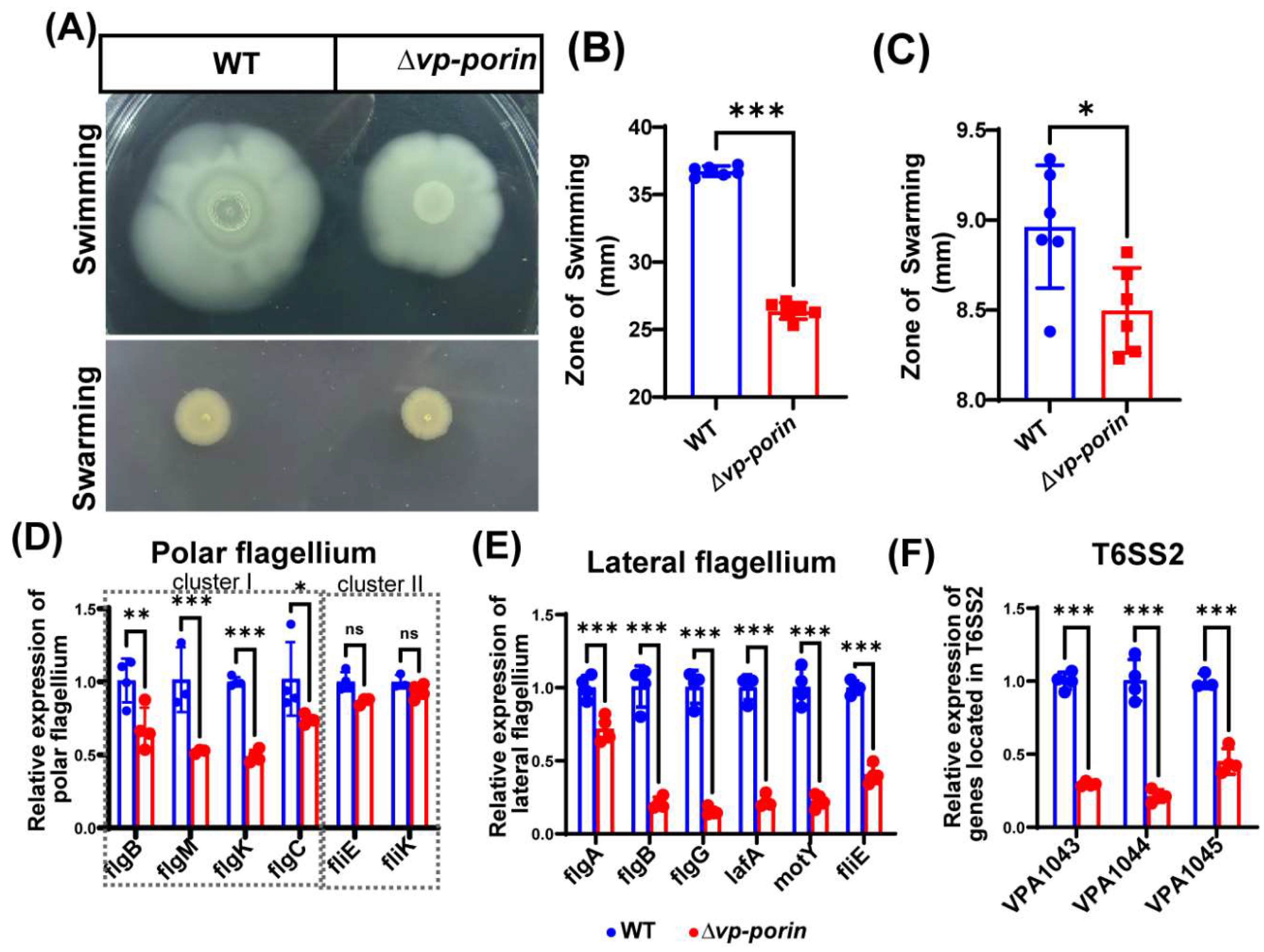 Preprints 108443 g005