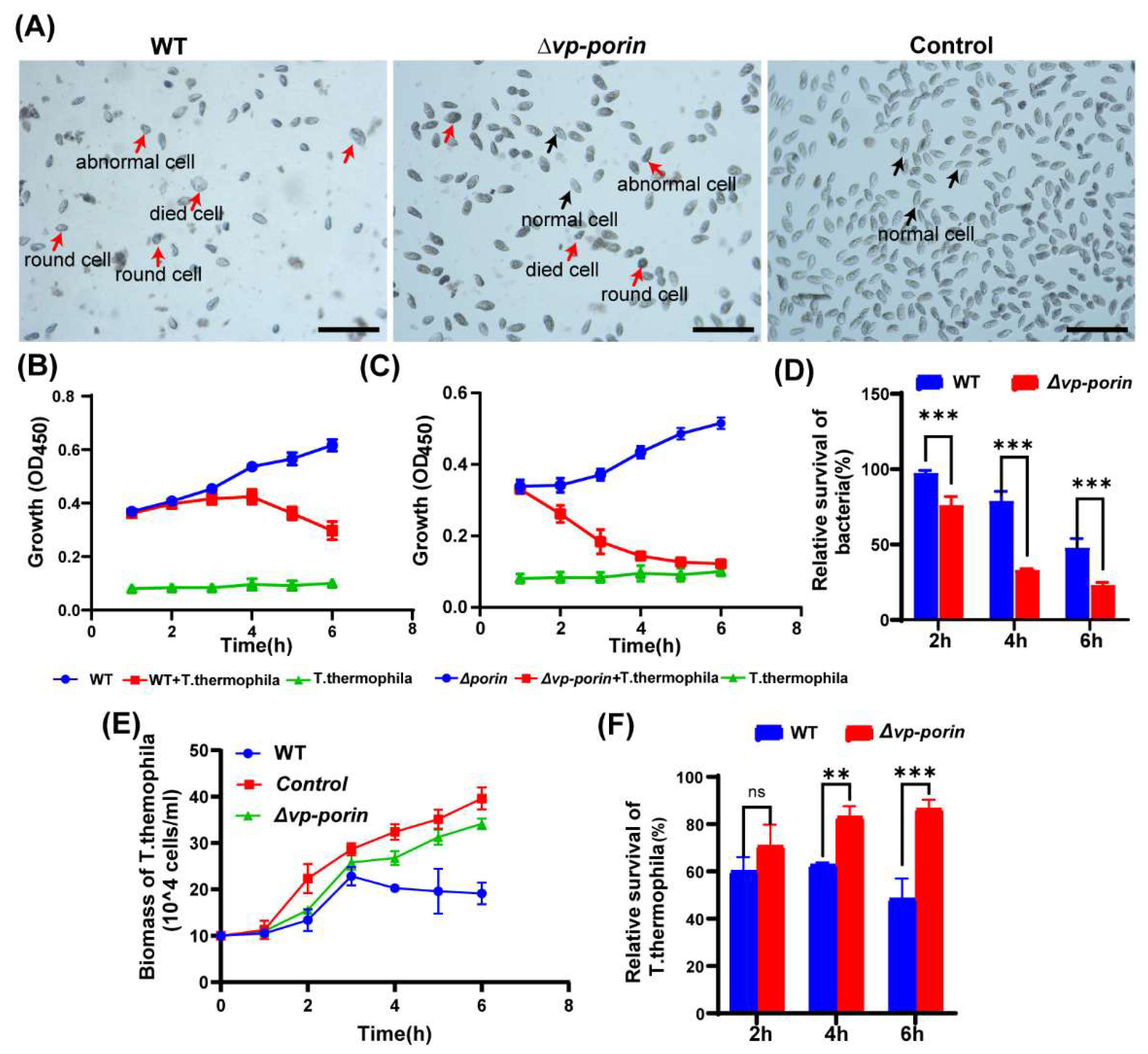 Preprints 108443 g006