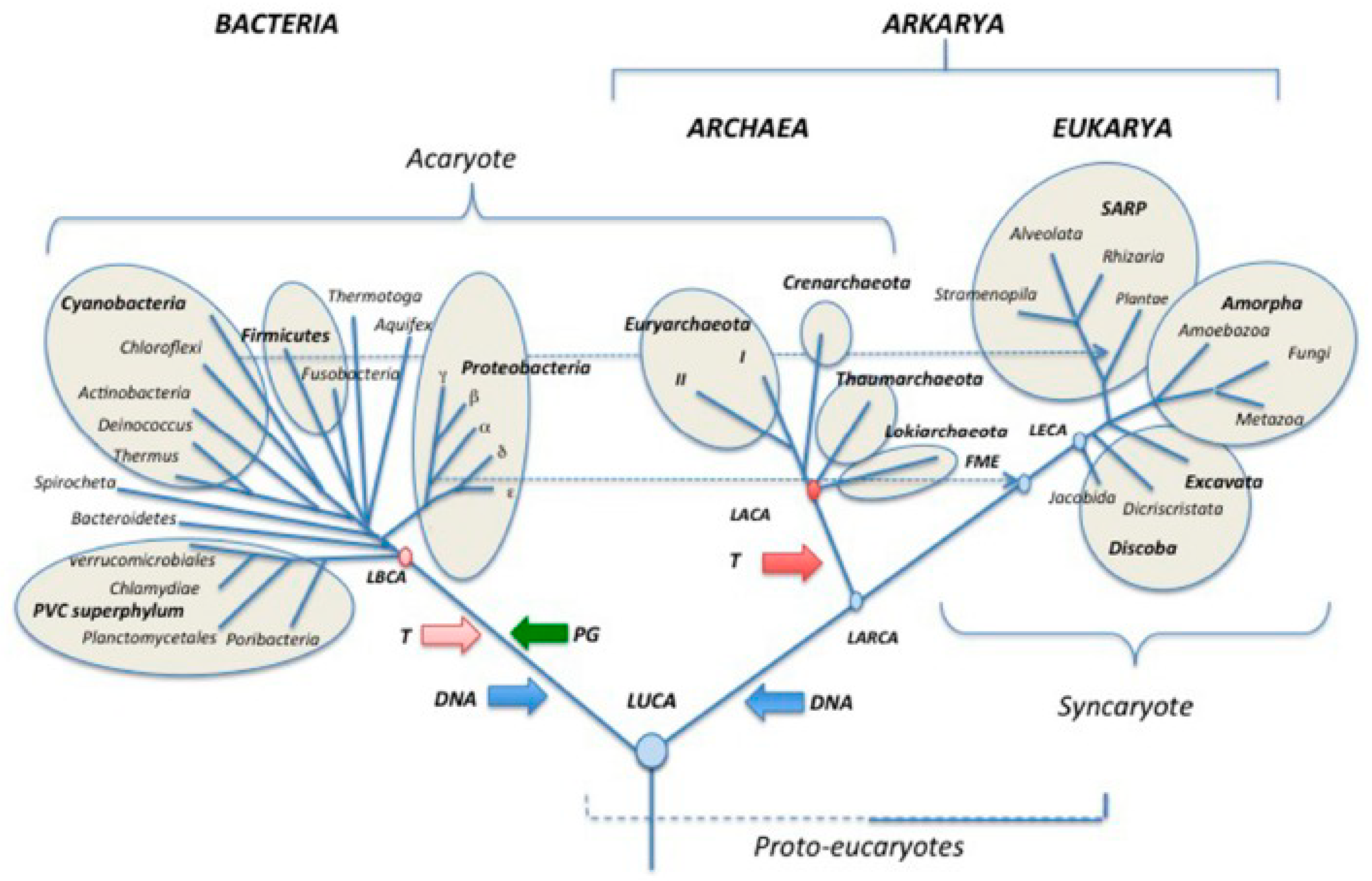 Preprints 94332 g001